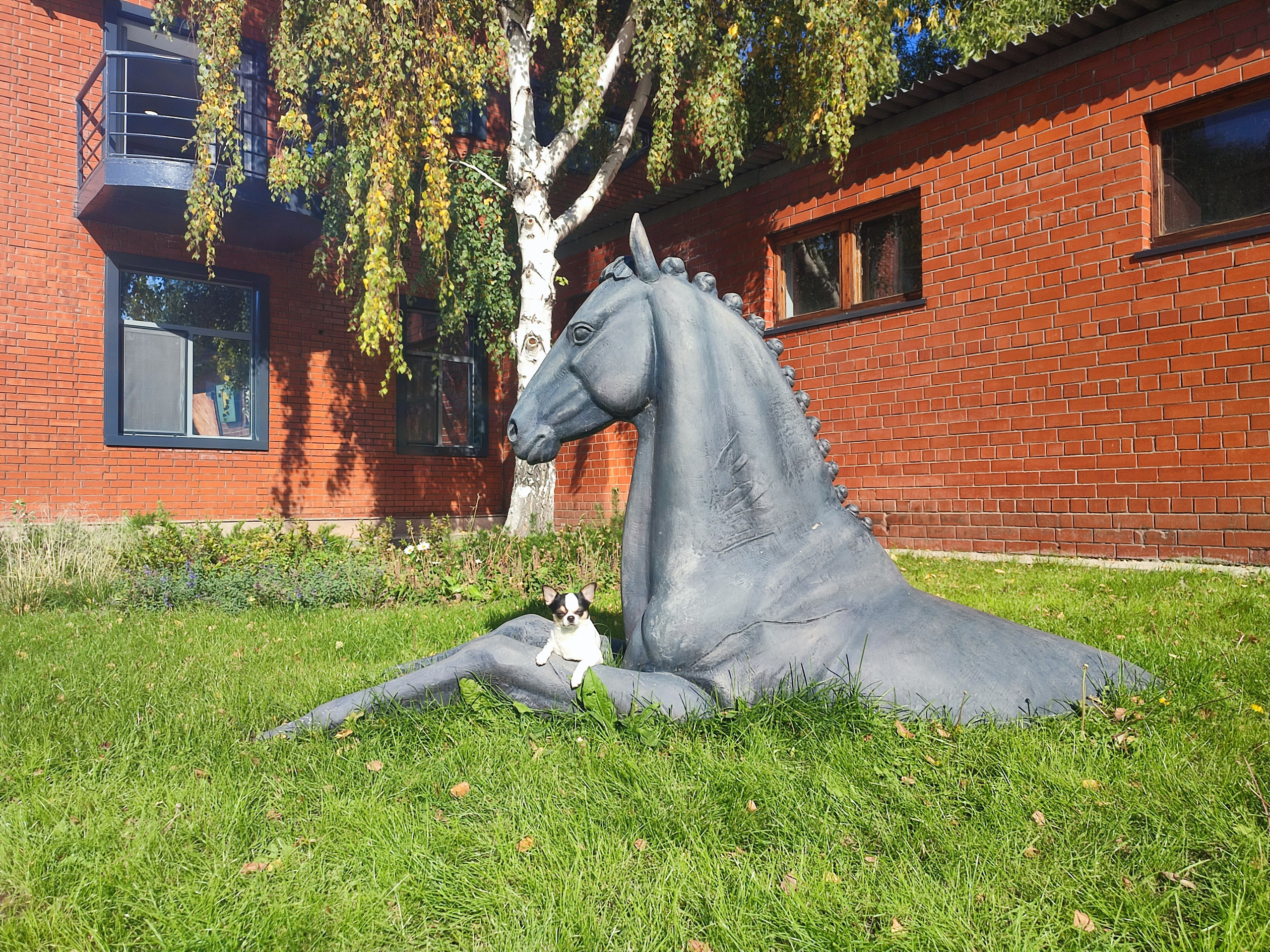 20-21/09.2025 КАЗАХСТАН г. Астана. Фотограф анималист Елена Галдина г. Красноярск