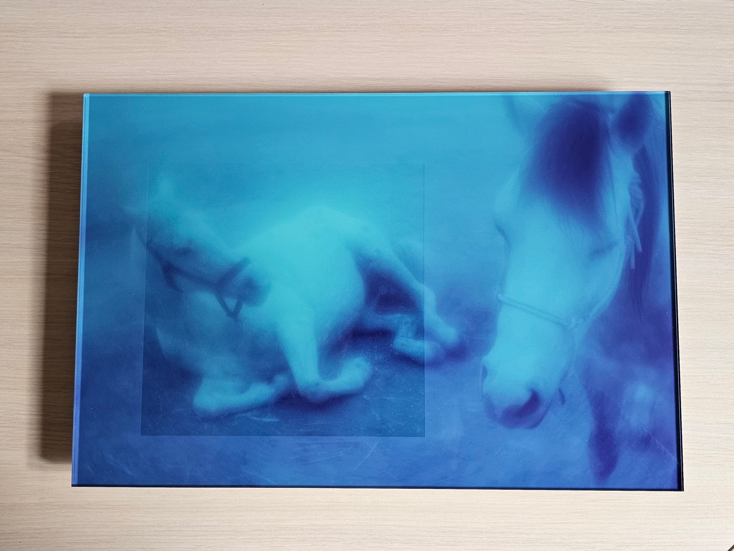 ФОТОГРАФИЯ. ПРОЕКТ БЕЗМОЛВНОЕ ПУТЕШЕСТВИЕ. CONTEMPORARY ARTIST OLGA ANDRIYASH