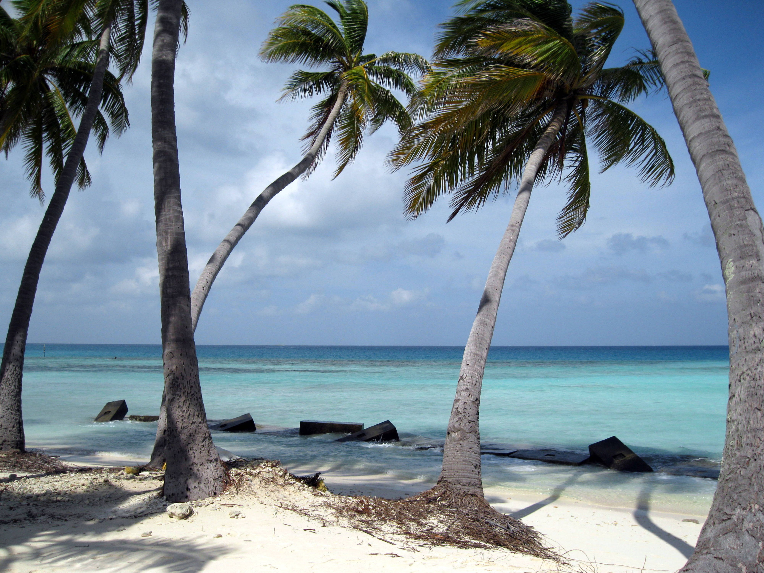 Как стать богатым? Много денег - у того, кто много зарабатывает и мало тратит.