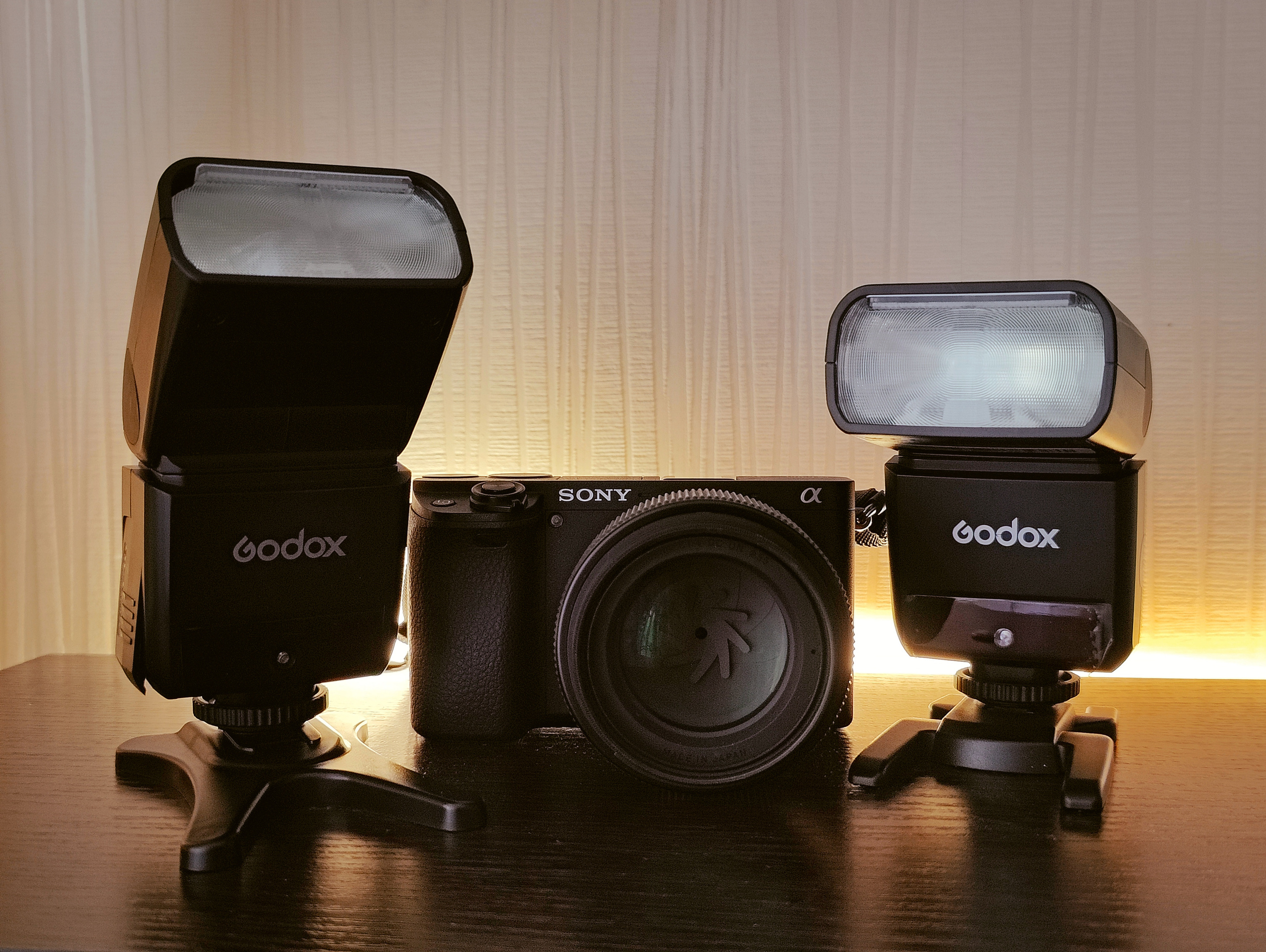 Стробизм и импульсный свет. Фотограф людей и животных в Санкт-Петербурге Марина Бурмистрова