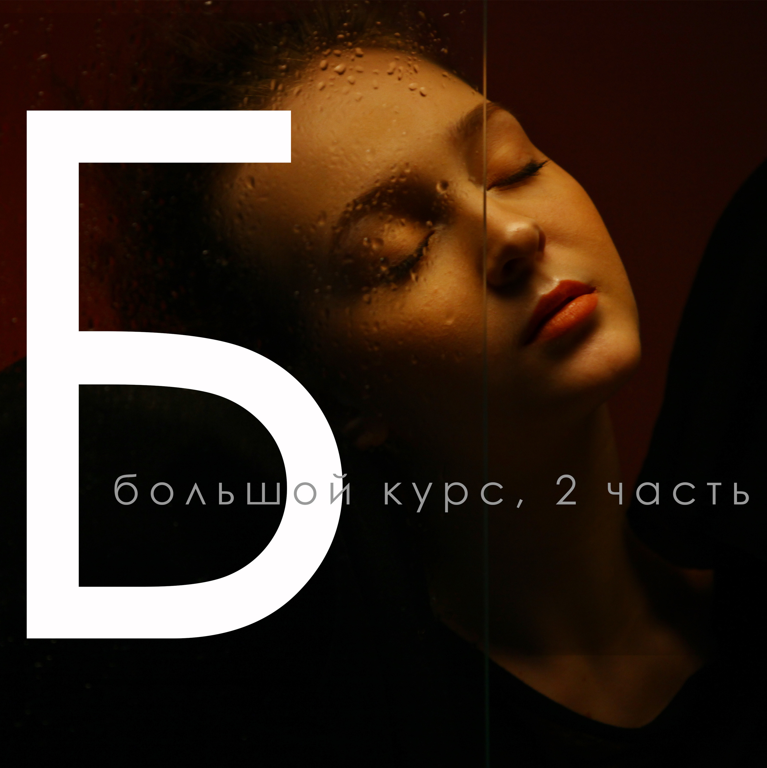 Художественный снимок в тёмной тональности с фото курсов фото Владимир Лёвин