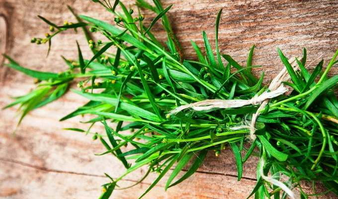 Способы и правила применения эфирных масел. VDAO.RU — исцеляющие практики