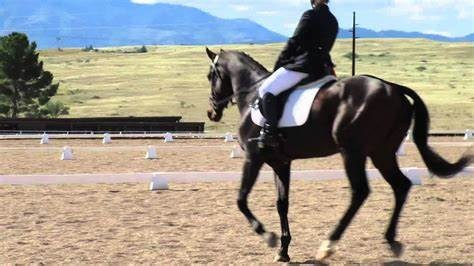 Календарь стартов по РВ АРВР. Liana Antanovich | Equestrian Strategies