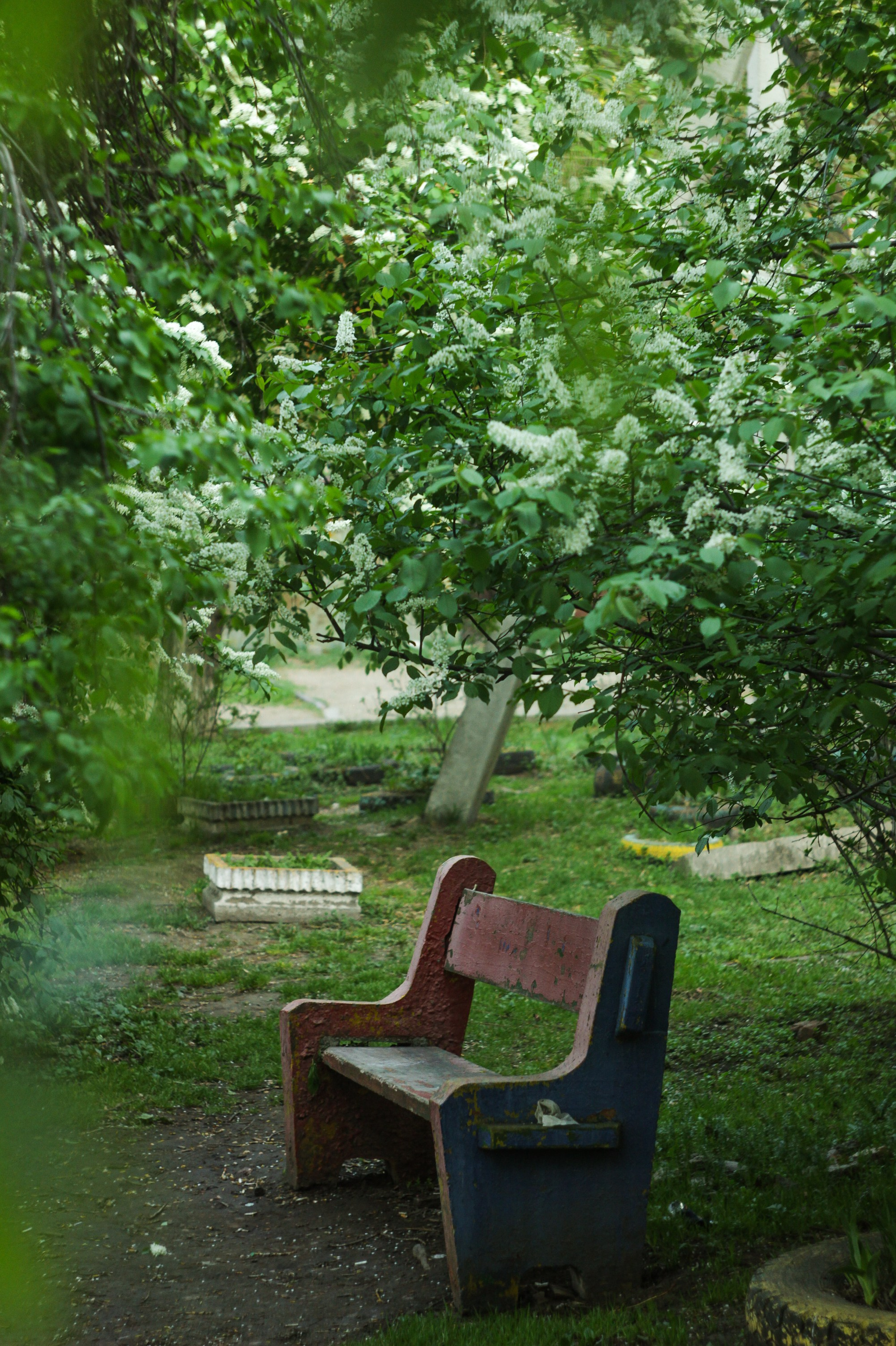 Весна 2023 года. Фотограф Иркутск Анастасия Ботороева