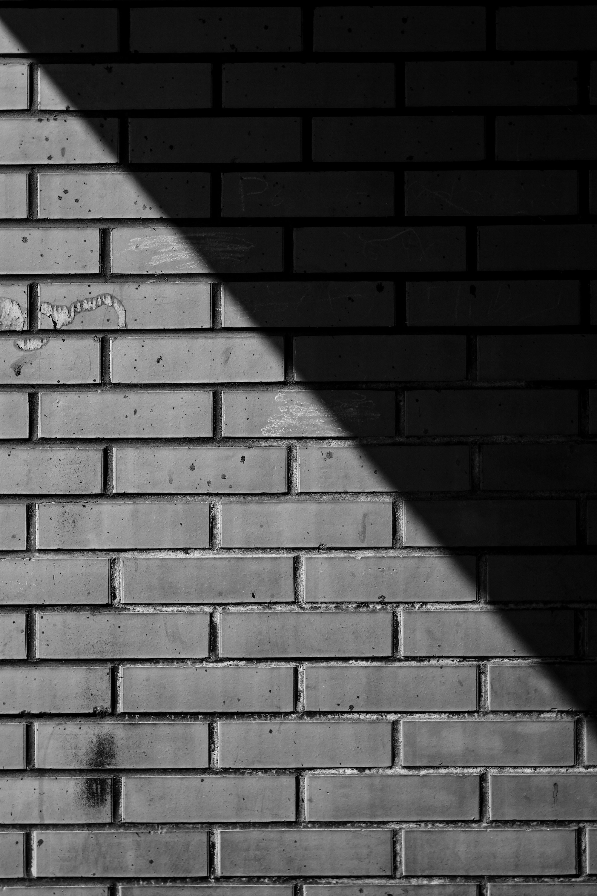 Весна 2023 года. Фотограф Иркутск Анастасия Ботороева