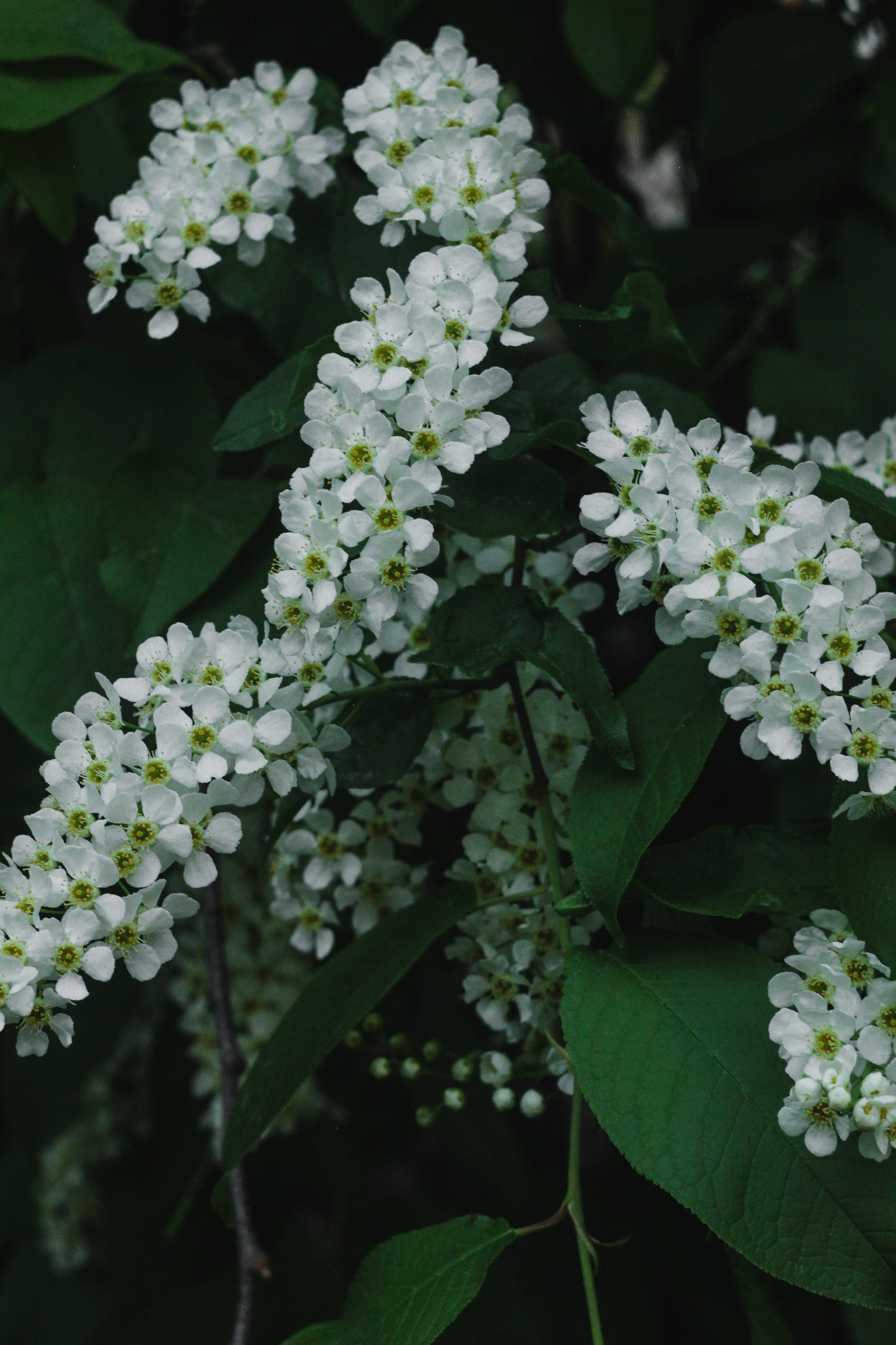 Весна 2023 года. Фотограф Иркутск Анастасия Ботороева