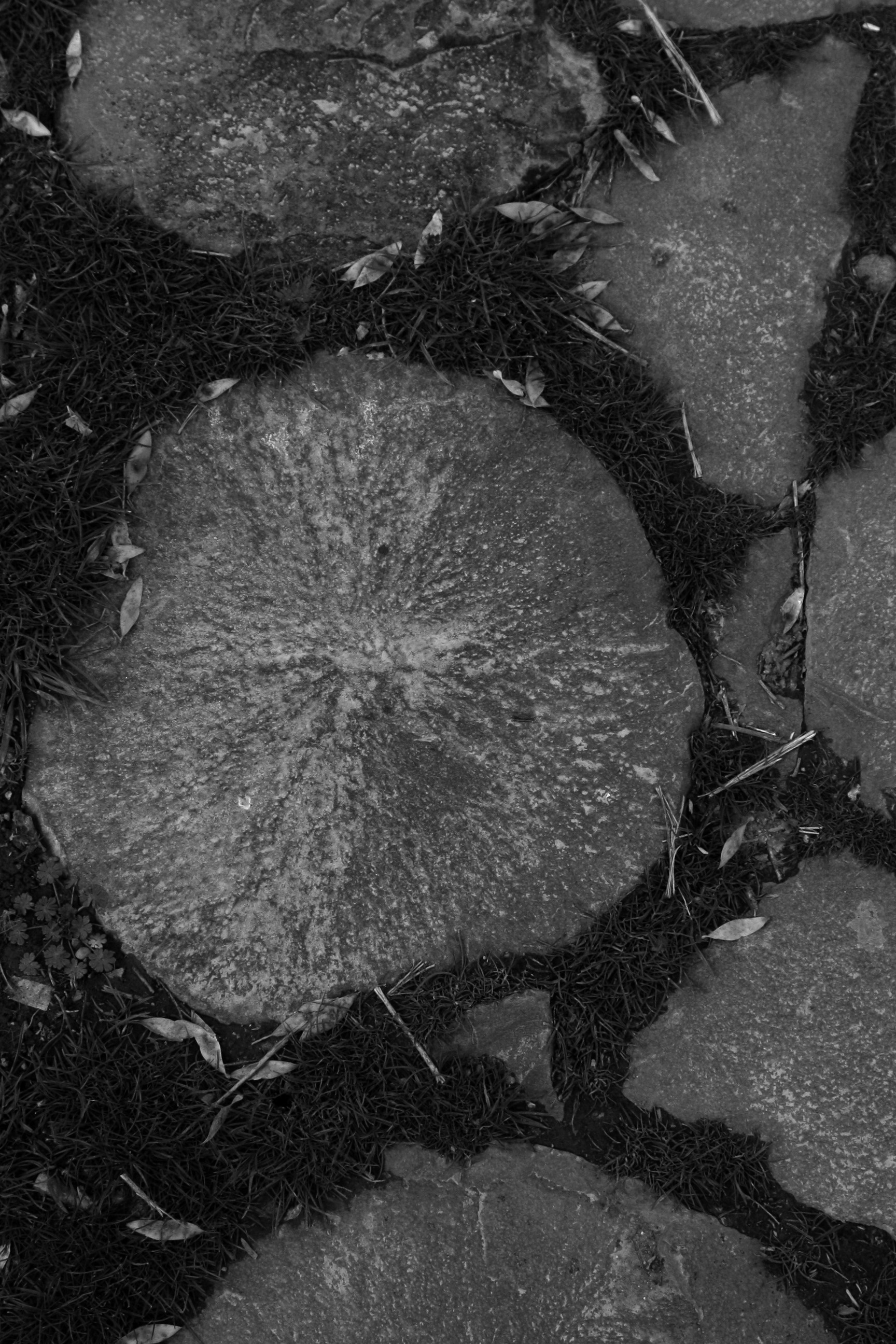 Разговоры об Армении. Walk & Fly with Batay