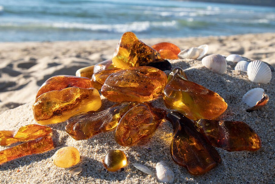 Фототур «Свет янтаря в сердце Балтики». Ольга Котова