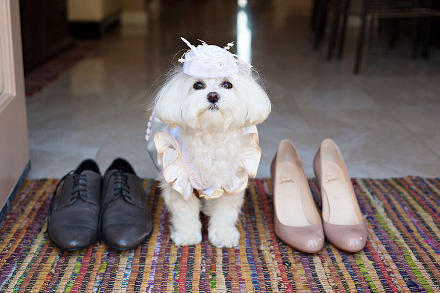 Организация свадьбы в Москве. Свадебное агентство ПИОН. Подобрать ресторан на свадьбу, ведущий на свадьбу, свадебный декор, свадебные фото.