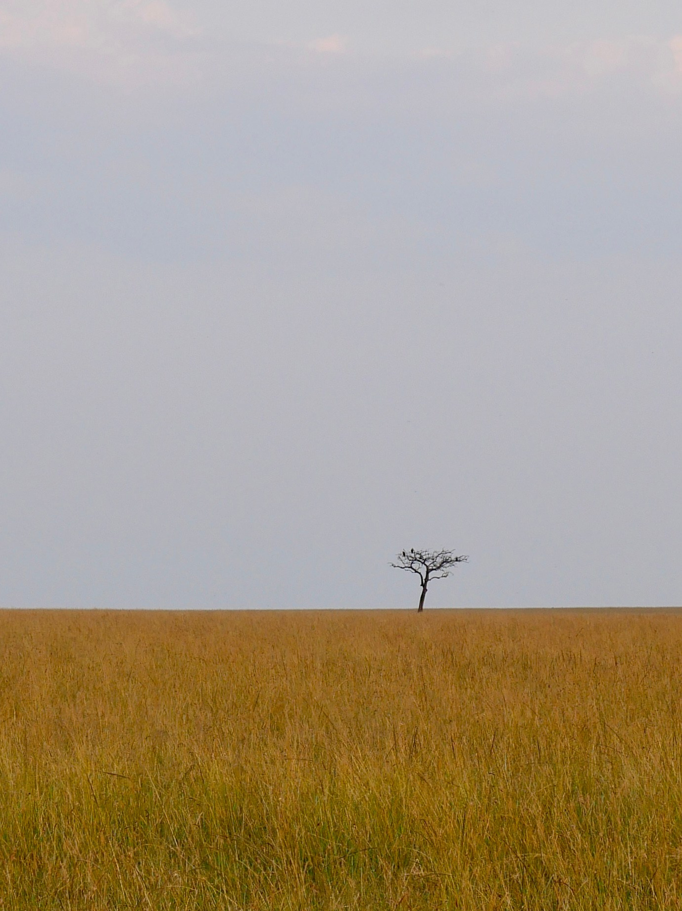 Большаков Андрей. ARTEXPOPHOTO