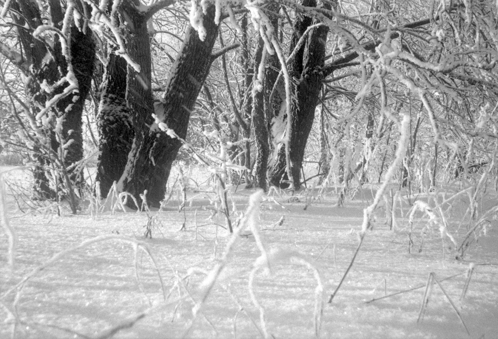 Зима муми-троллей. Artkapella|Олег Кузнецов