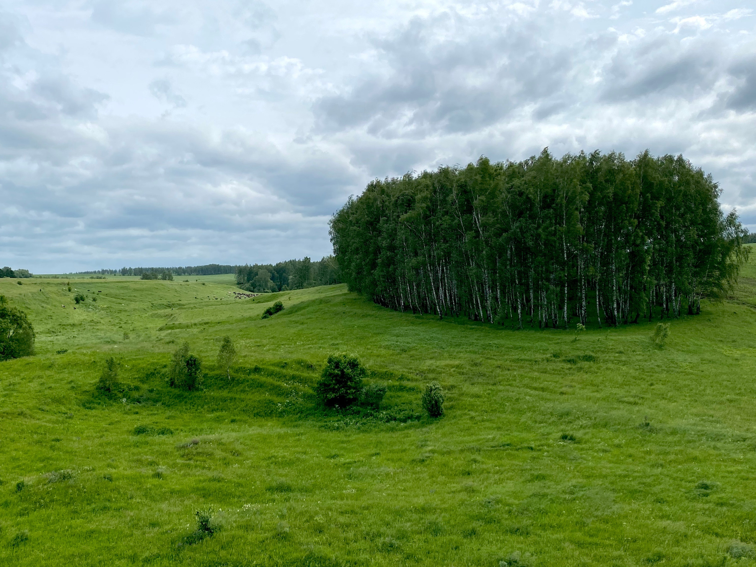 Трехдневный летний поход по Тульской земле. Photographer Andrey Basov website