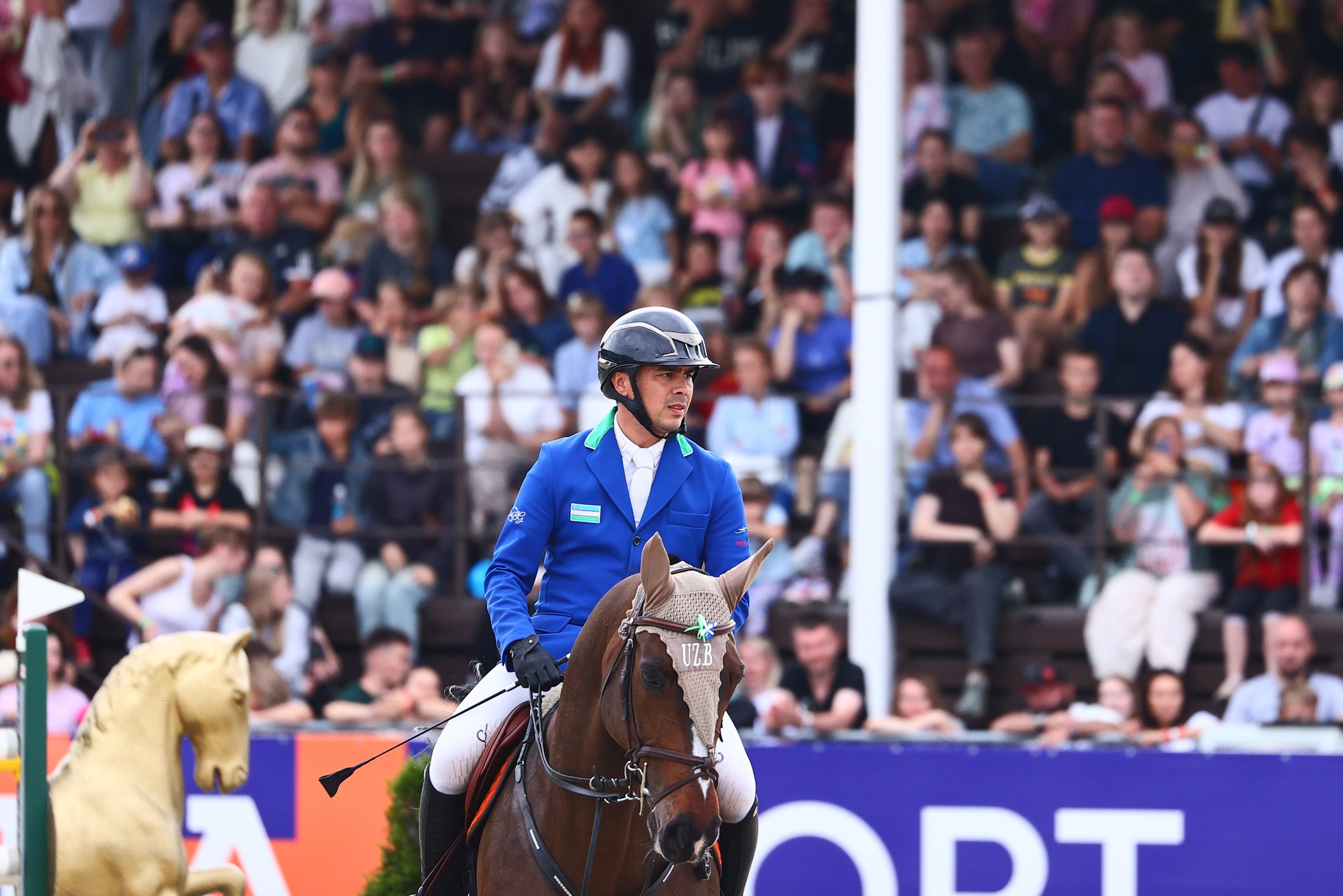 Купить фотографии с турниров. KatymartArt — Equine photography