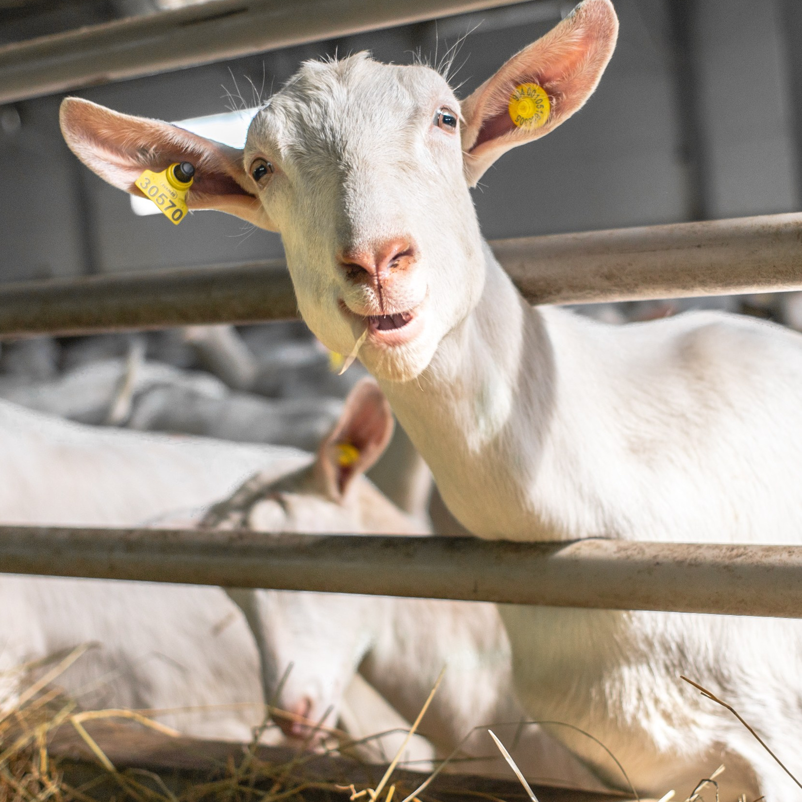 Промышленность и интерьер. Репортажный, промышленный и маркетплейс-фотограф Дмитрий Чернат