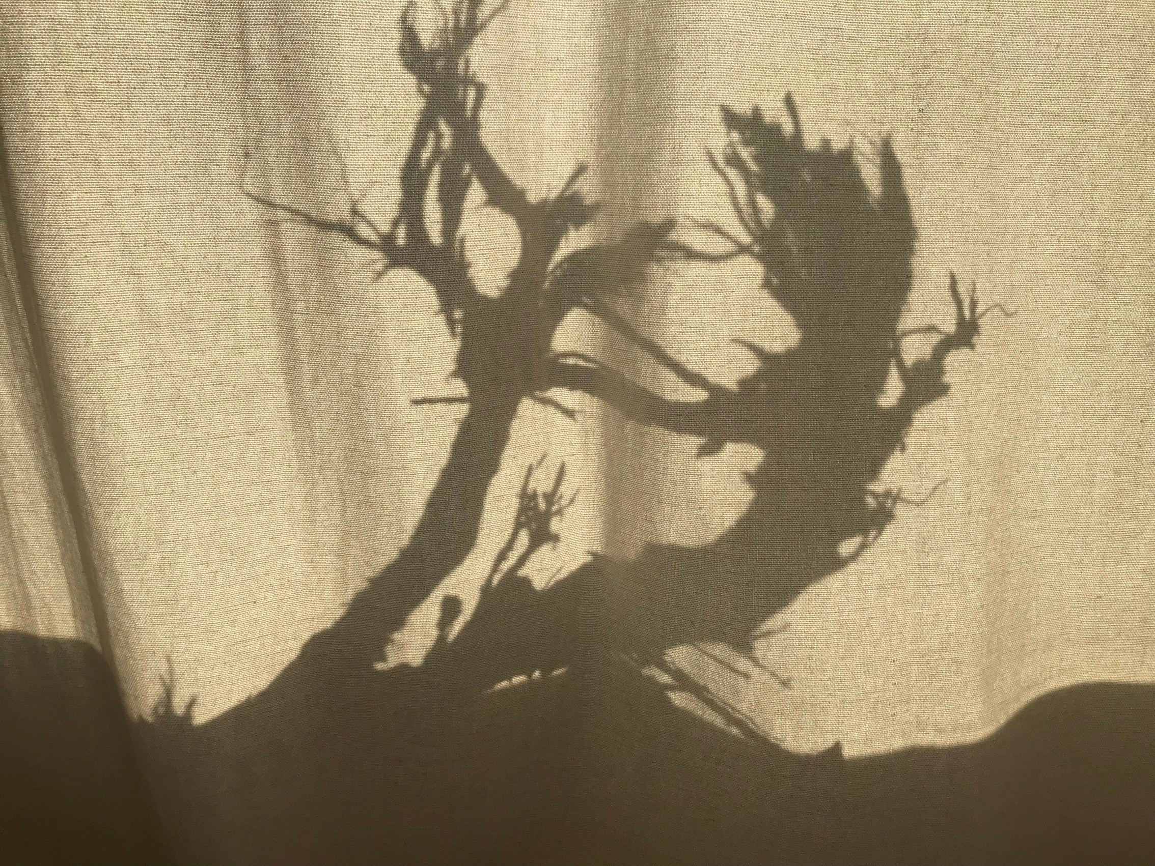 Кечеджан Алла. ARTEXPOPHOTO