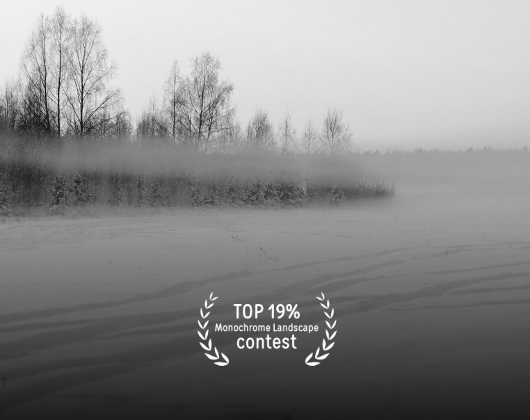 Фотопремии