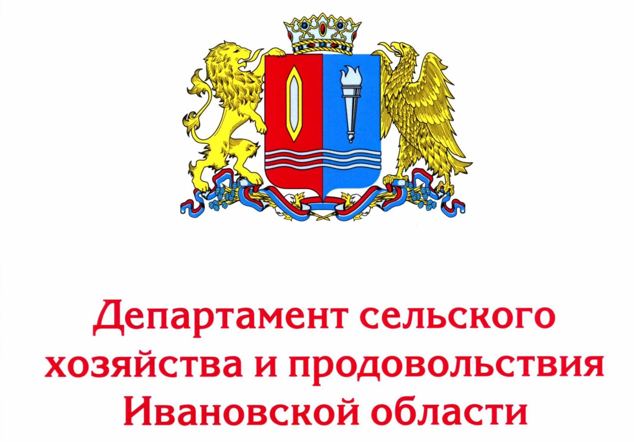 Спортивный и репортажный фотограф в Иваново Сергей Силкин