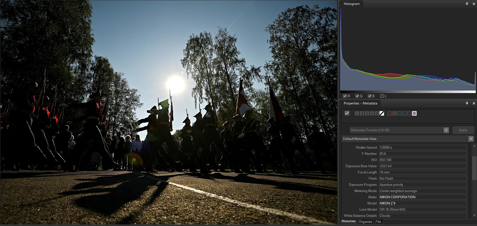 Гистограмма. Документальный фотограф Сергей Вдовин