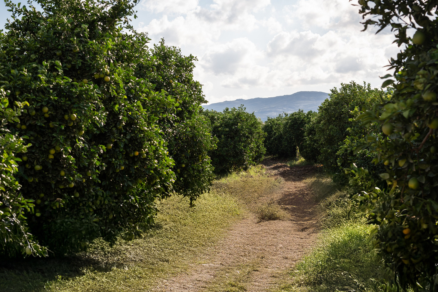 Марокко. Илья Варин — Фотограф Москва, Тверь