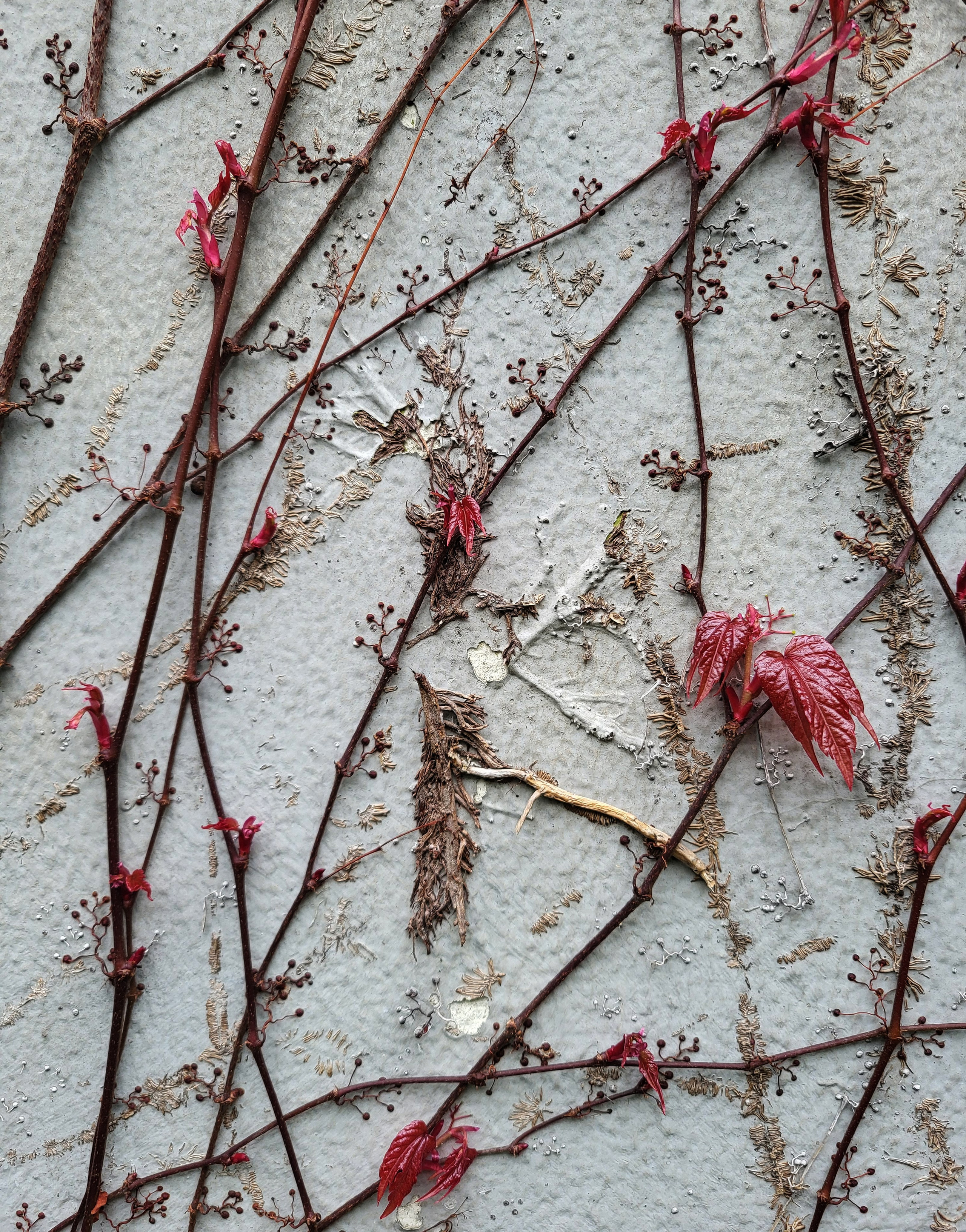 Усватова Екатерина. ARTEXPOPHOTO