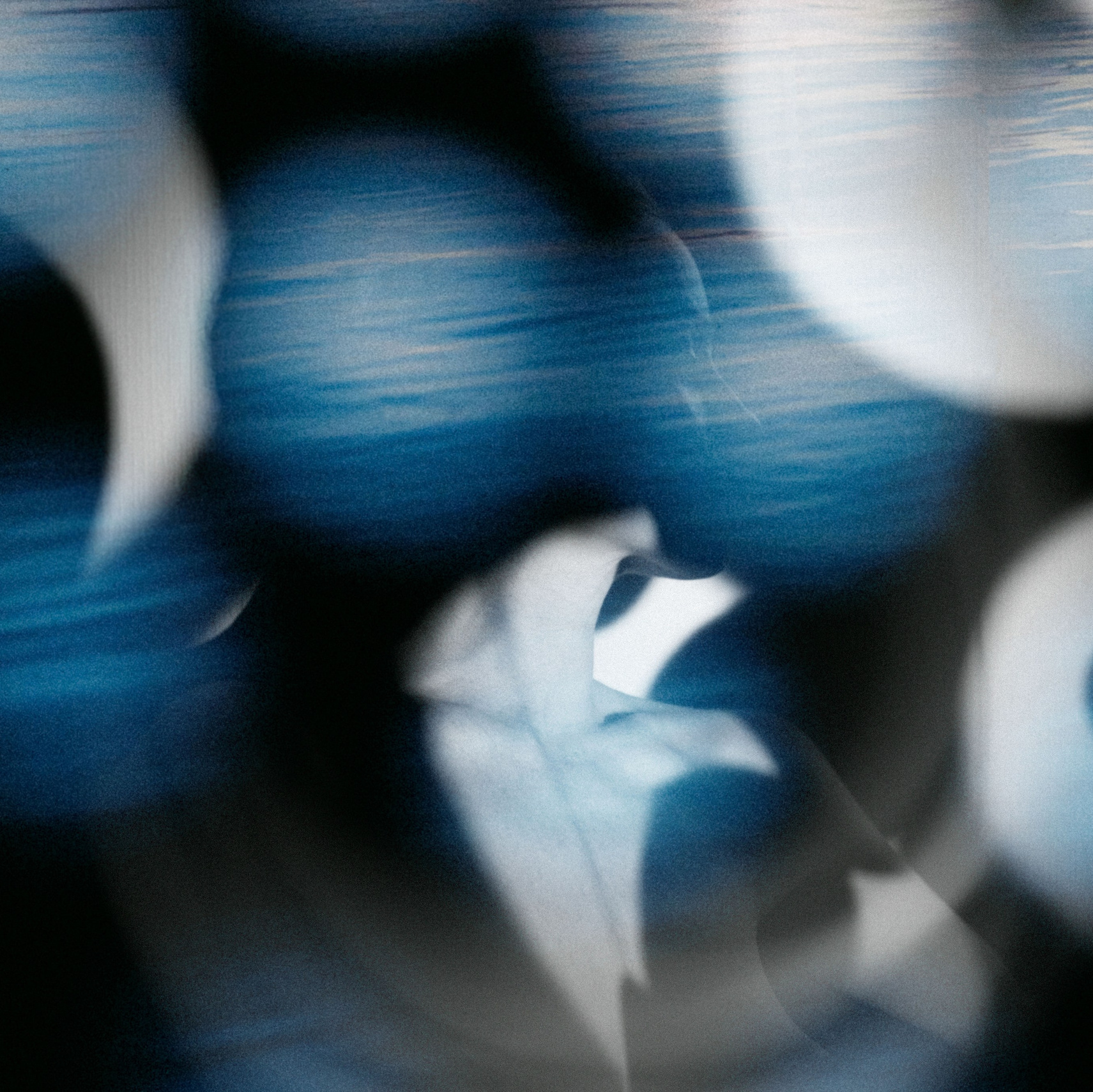CONTACTS. ALENA GORBACHEVA | VISUAL ARTIST