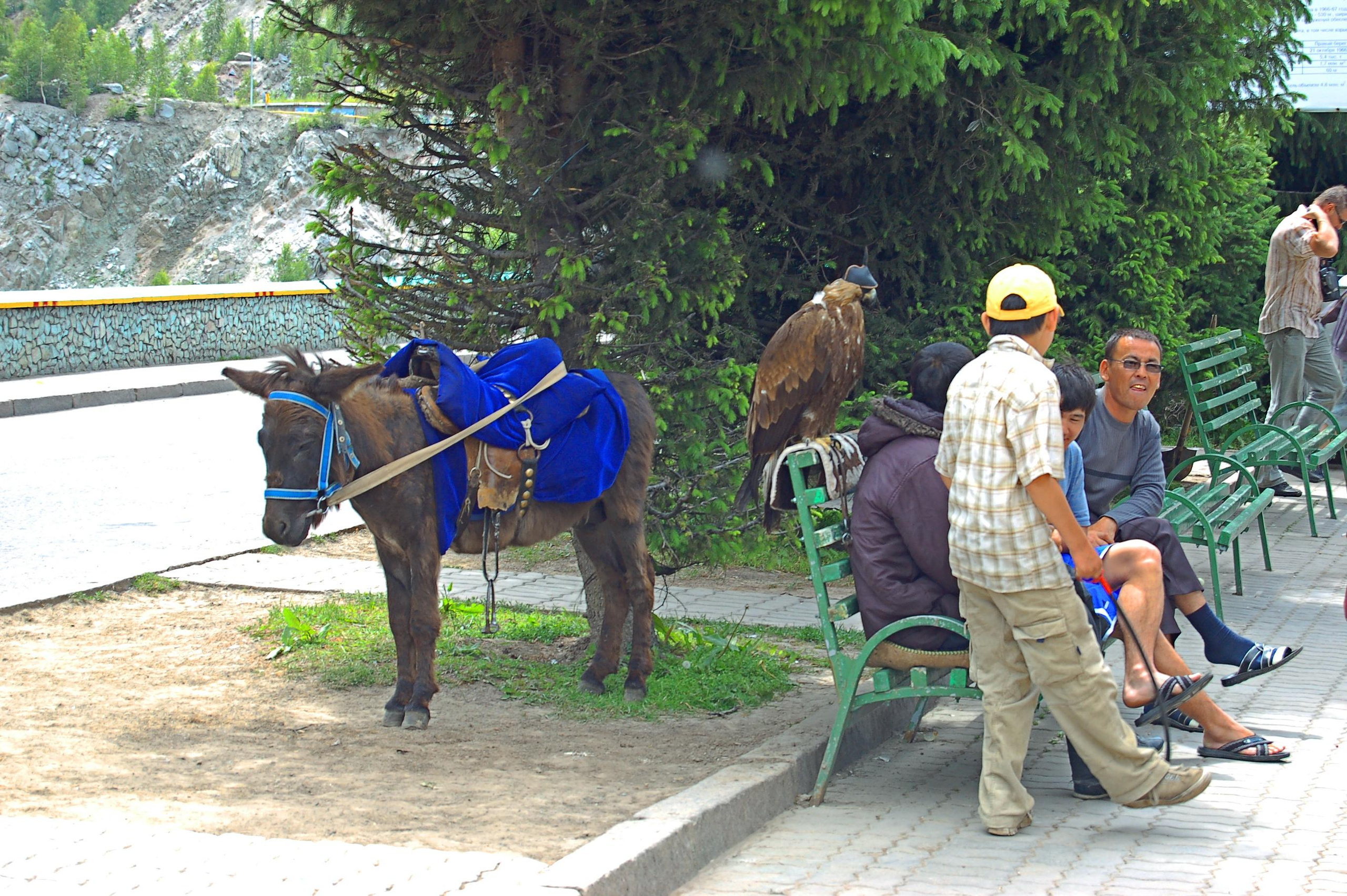 Прогулка по городу Алма́-Ата́ и его окрестностям. Фото и жизнь