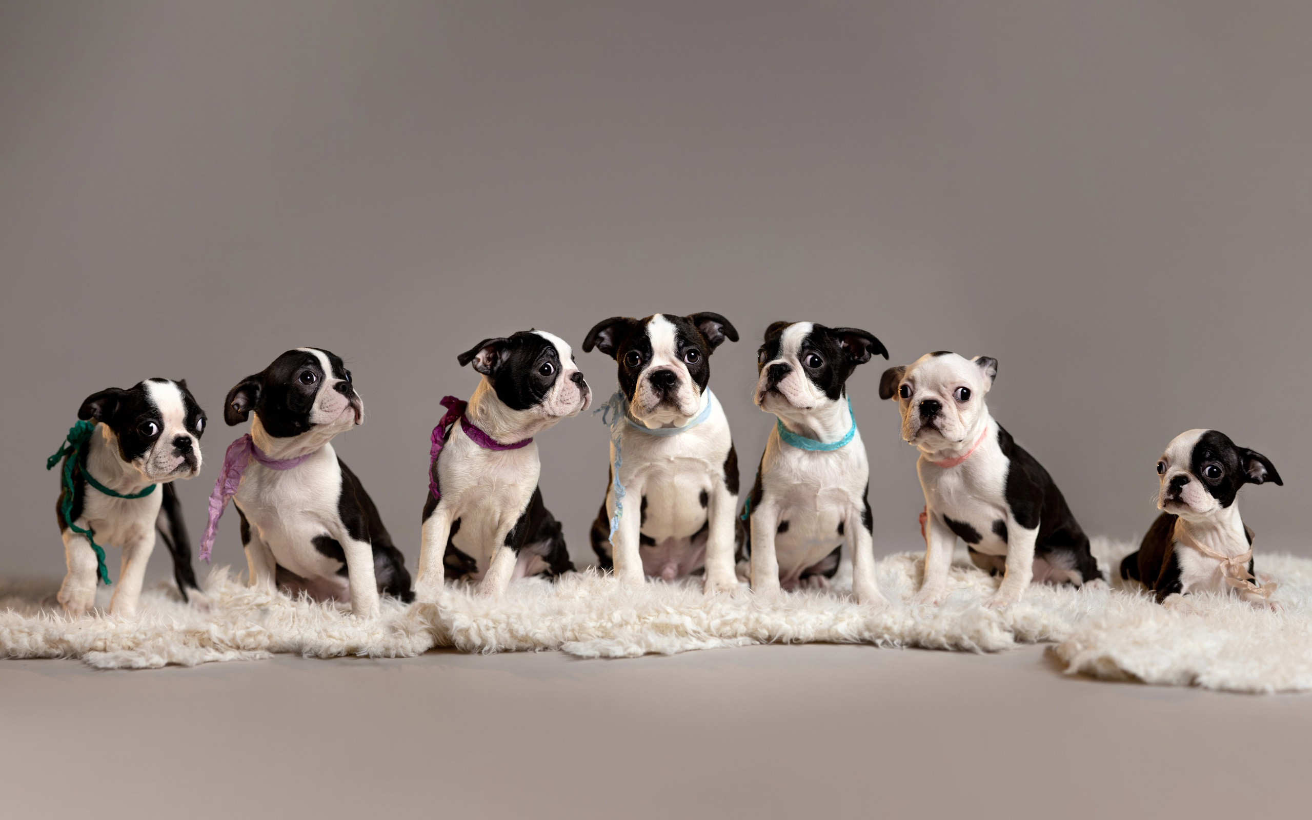 Услуги. Главная