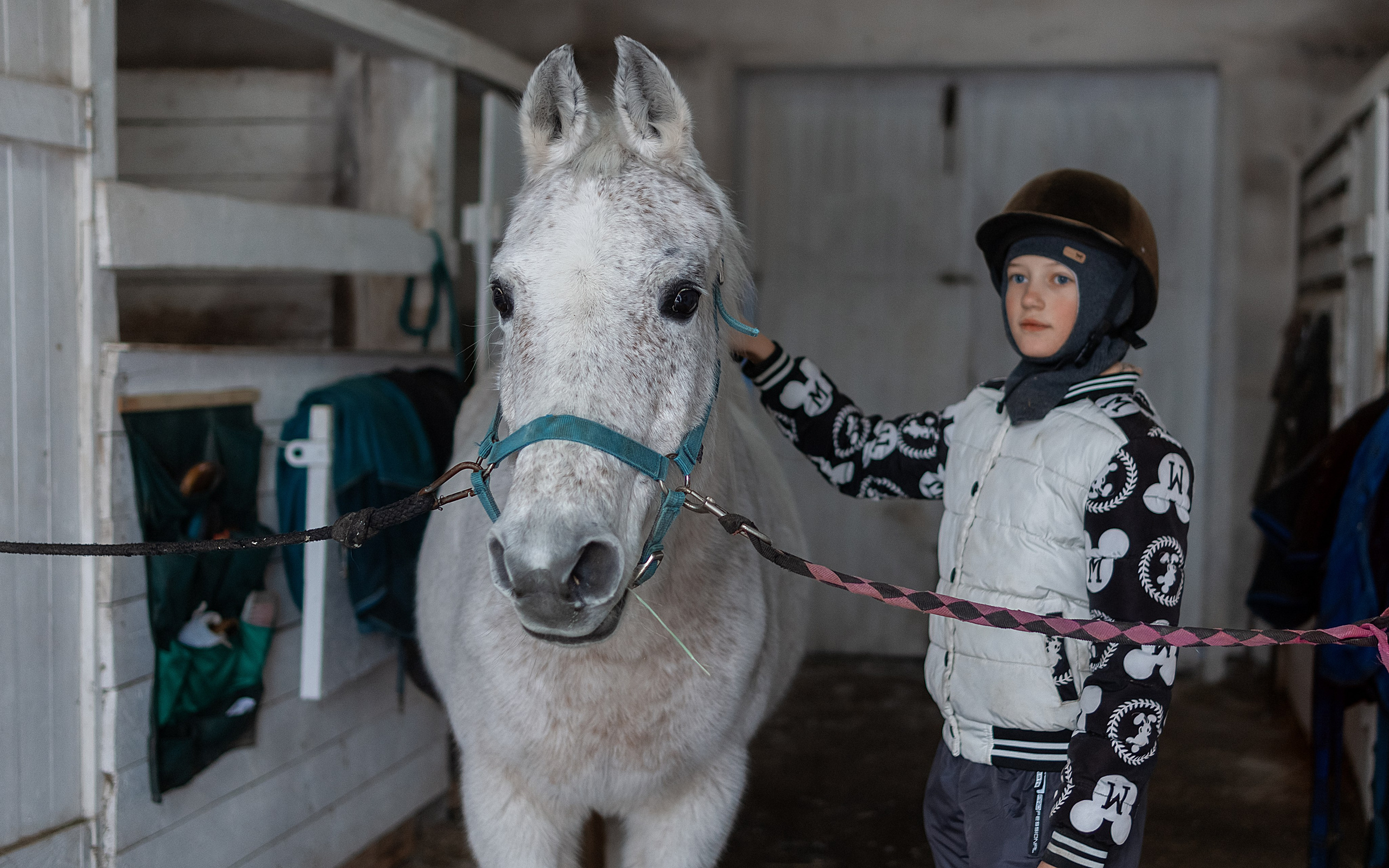 Конноспортивная школа Добрый конь город Белоозерский