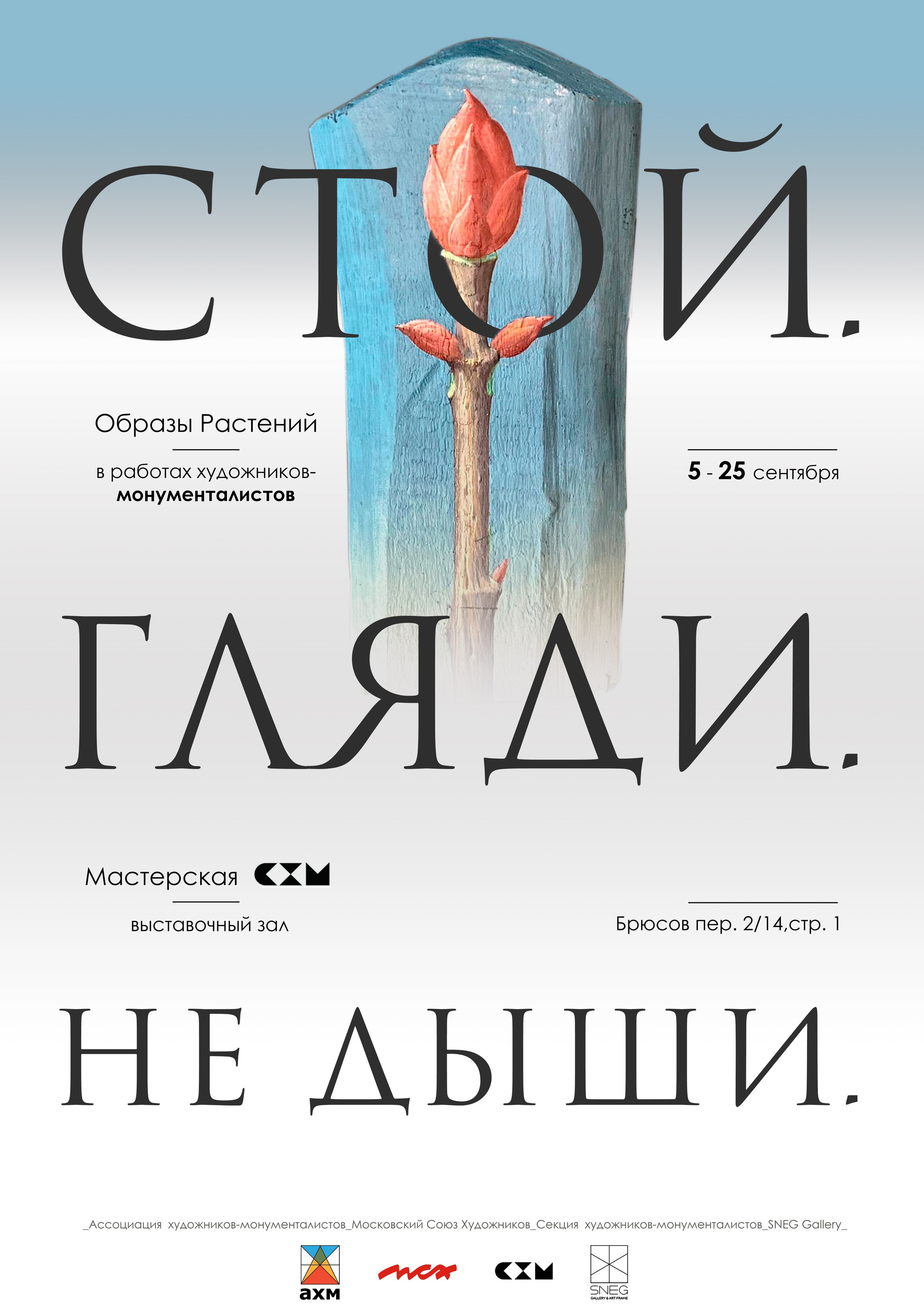 стой гляди не дыши мастерская схм