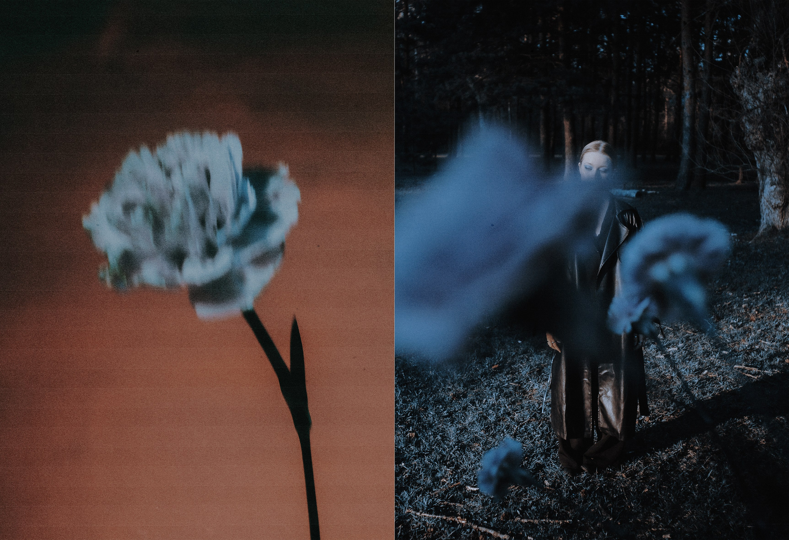 FLORIUM 1. Арт-фотограф Даня Карельский