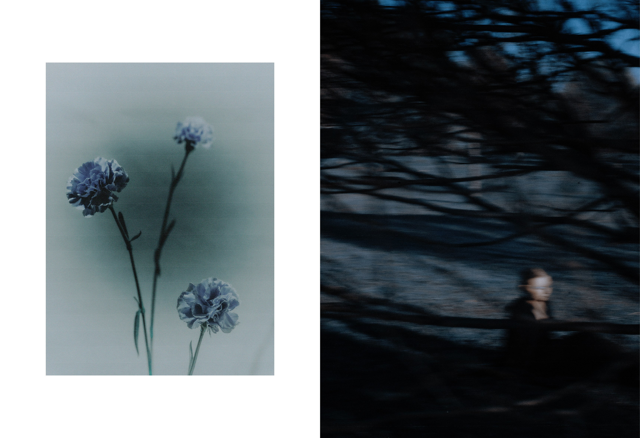 FLORIUM 1. Арт-фотограф Даня Карельский
