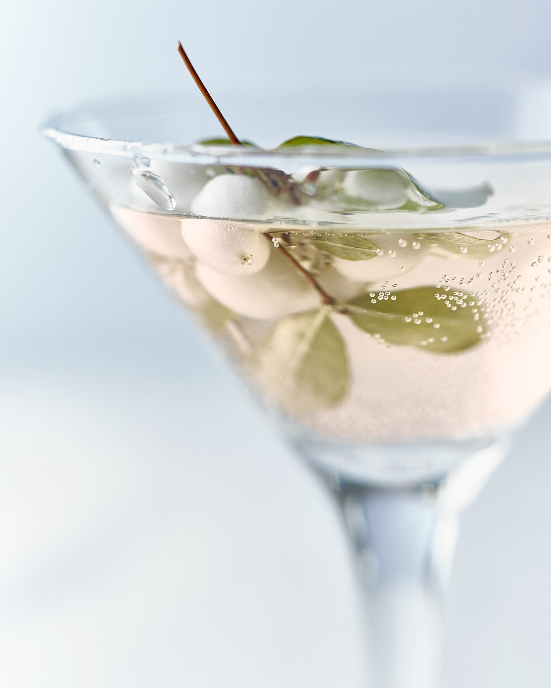 макро съемка фотограф москва