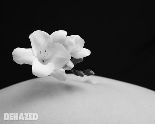 DEHAZED. Екатерина Денисова, фотограф, Москва