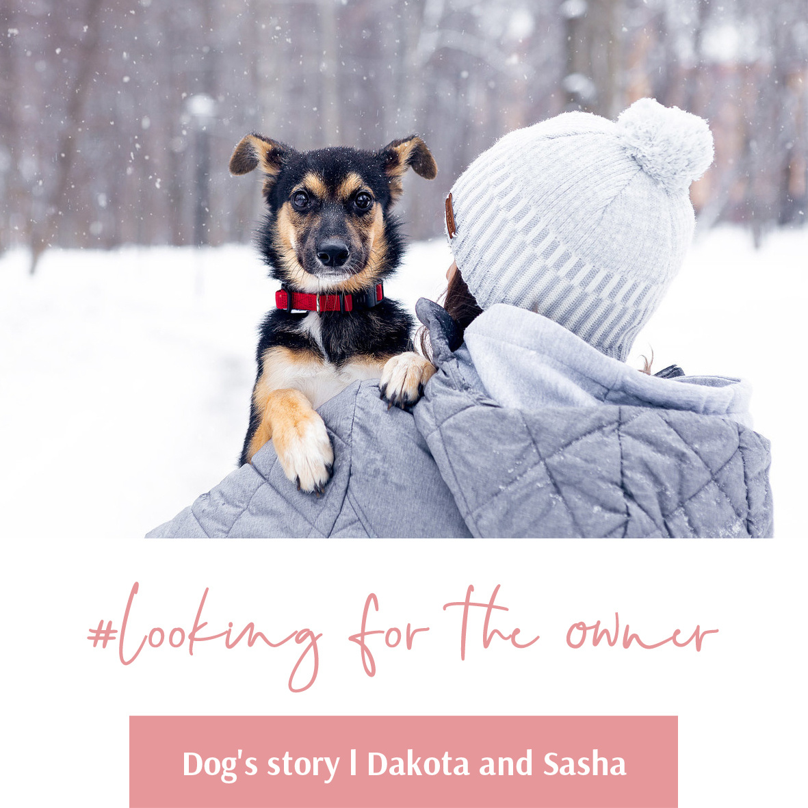 Journal. Kasia Teesh. Фотограф и Видеограф. Сергиев Посад