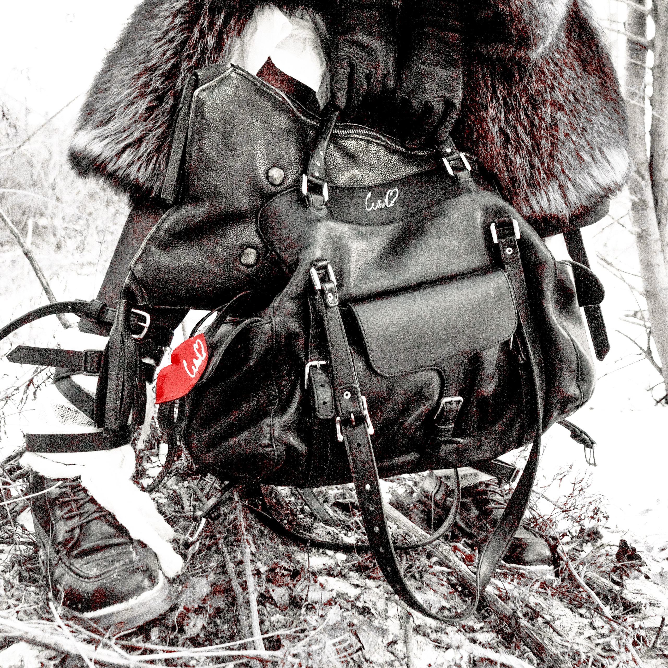 Author photography. Whoii