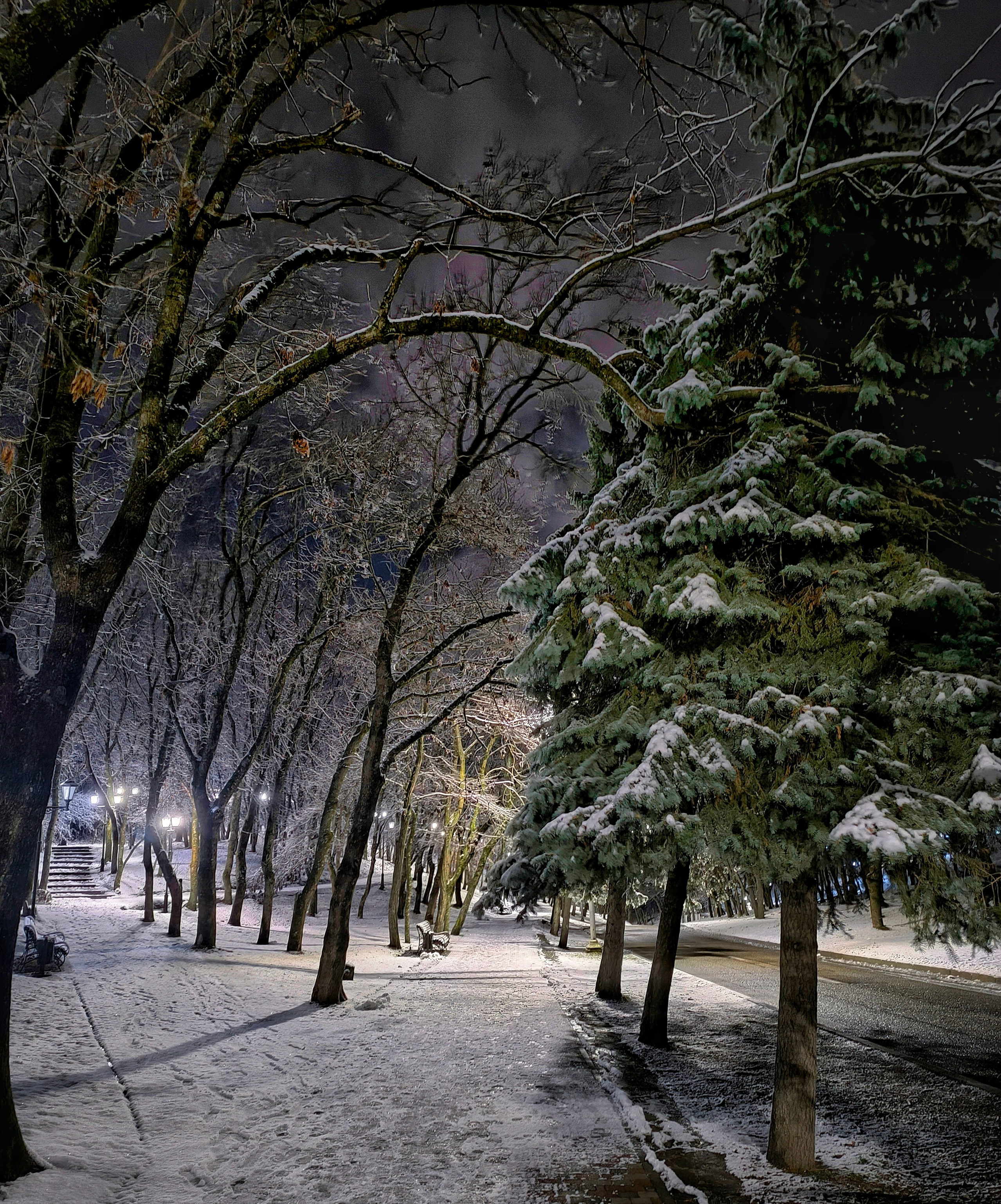 Фотографии зимнего Пятигорска. Фотосайт Андрея Прокопенко