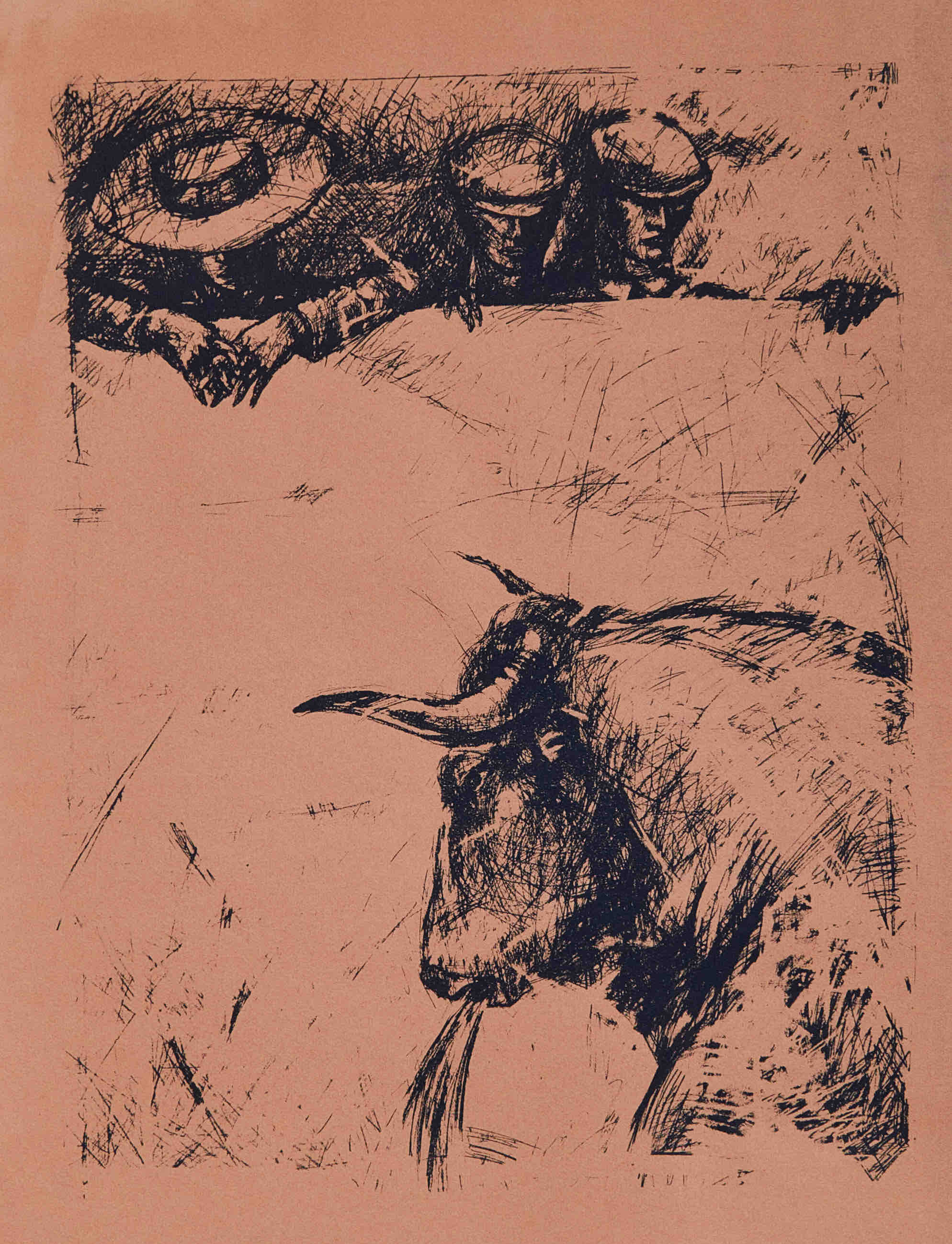 "Коррида" графические листы московского художника Дмитриева Алексея 