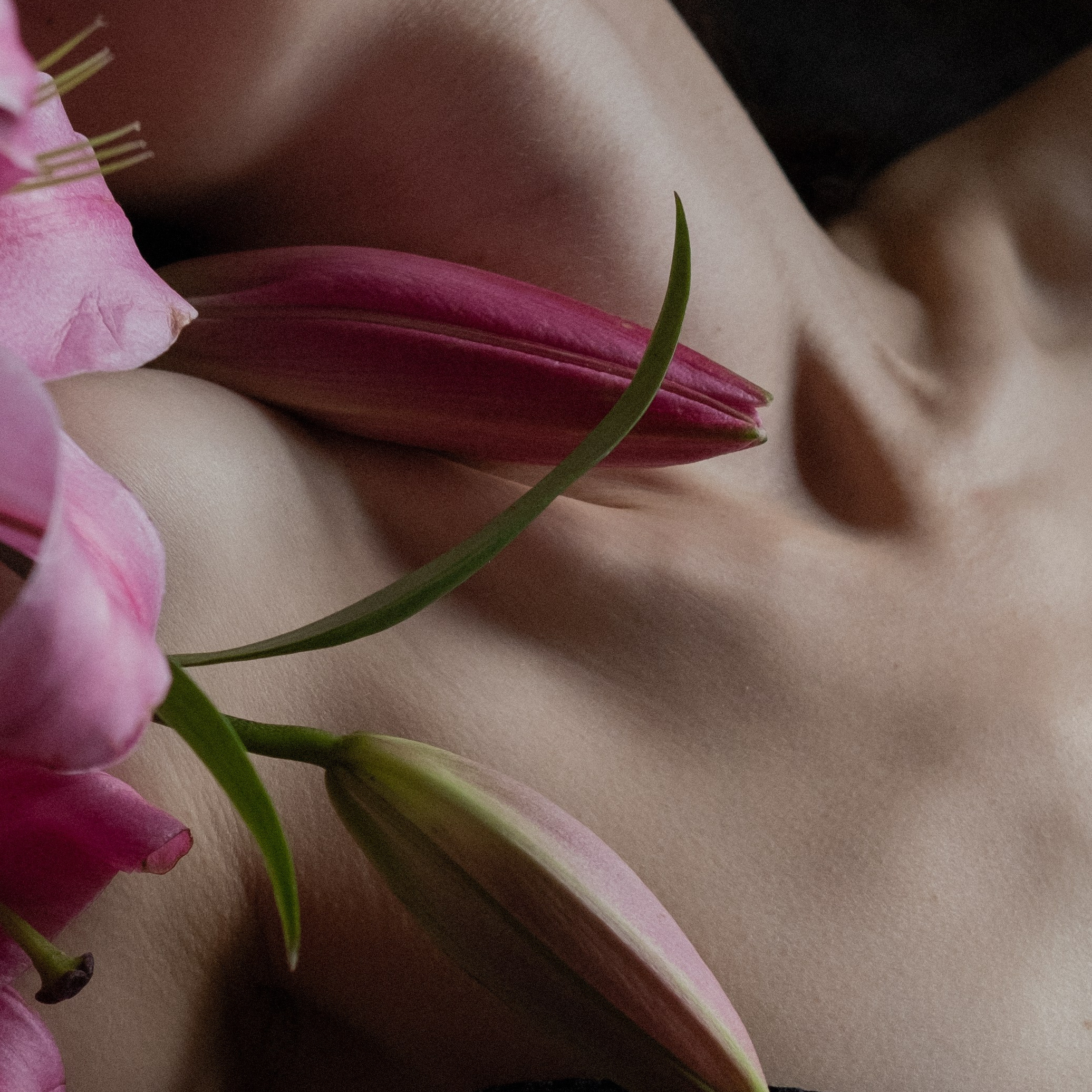 Стоимость. Макарцова Валерия — фотограф Санкт-Петербург, Москва