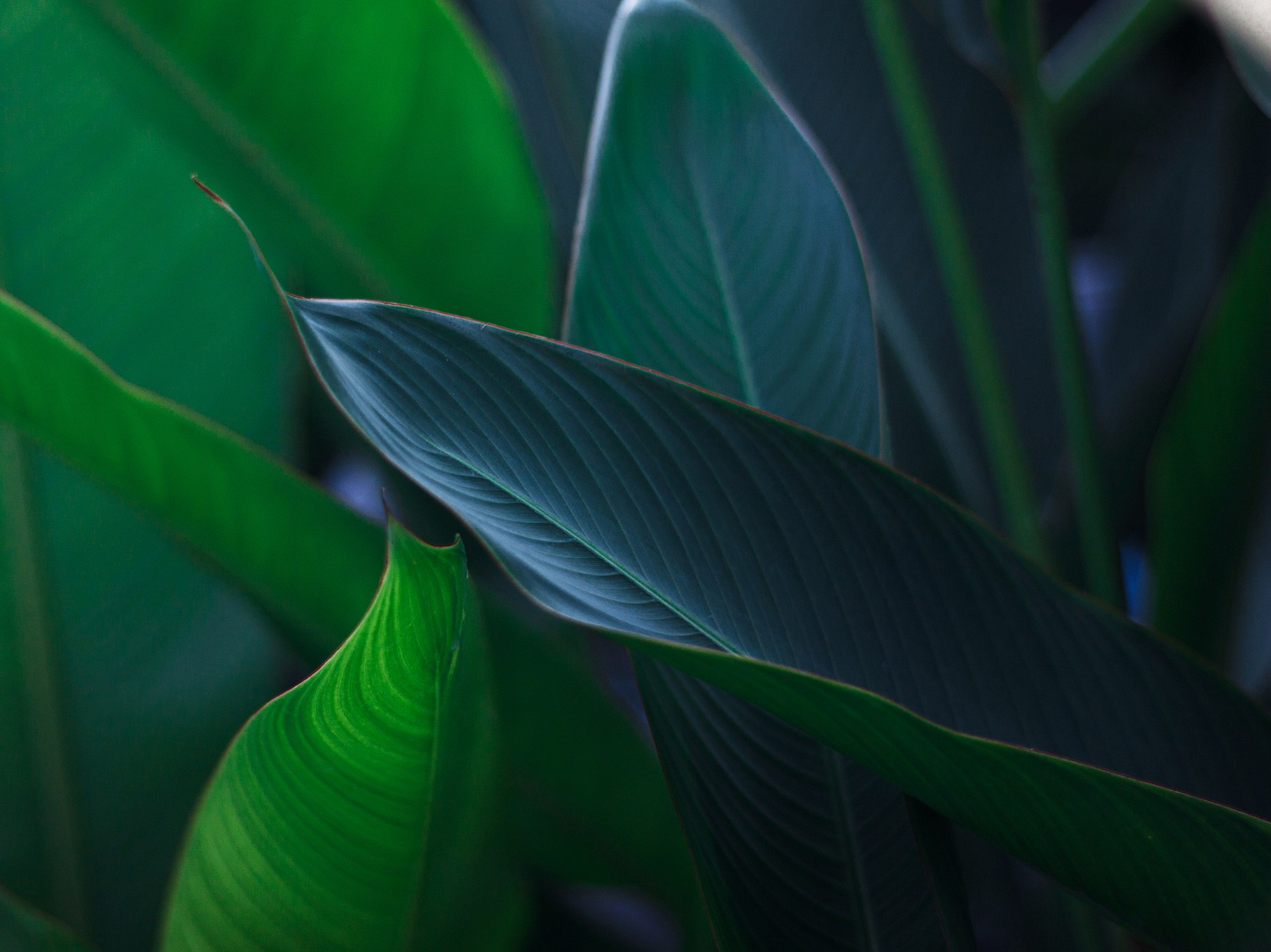 Фотосессии на Пхукете — солнце, море