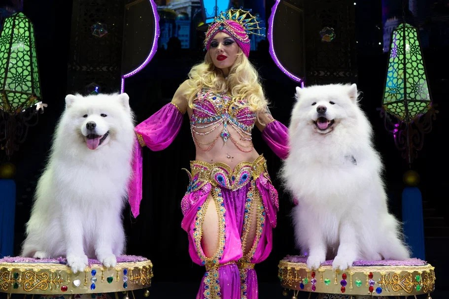 В Перми состоялась премьера шоу Гии Эрадзе «Песчаная сказка». Журнал о самом особенном. Пермь и Пермский край