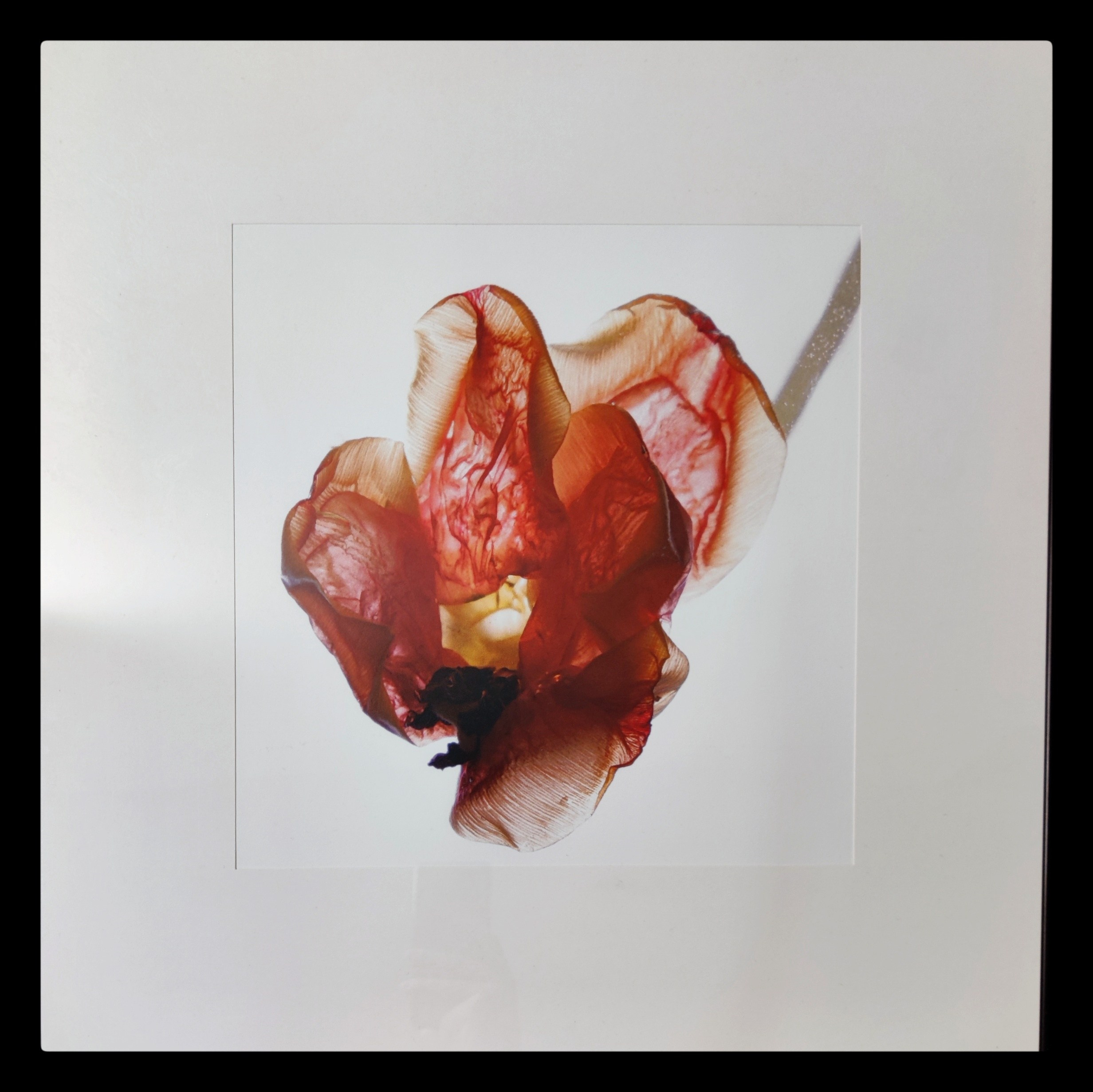 Отпечатки. Фотограф | Александр Очковский