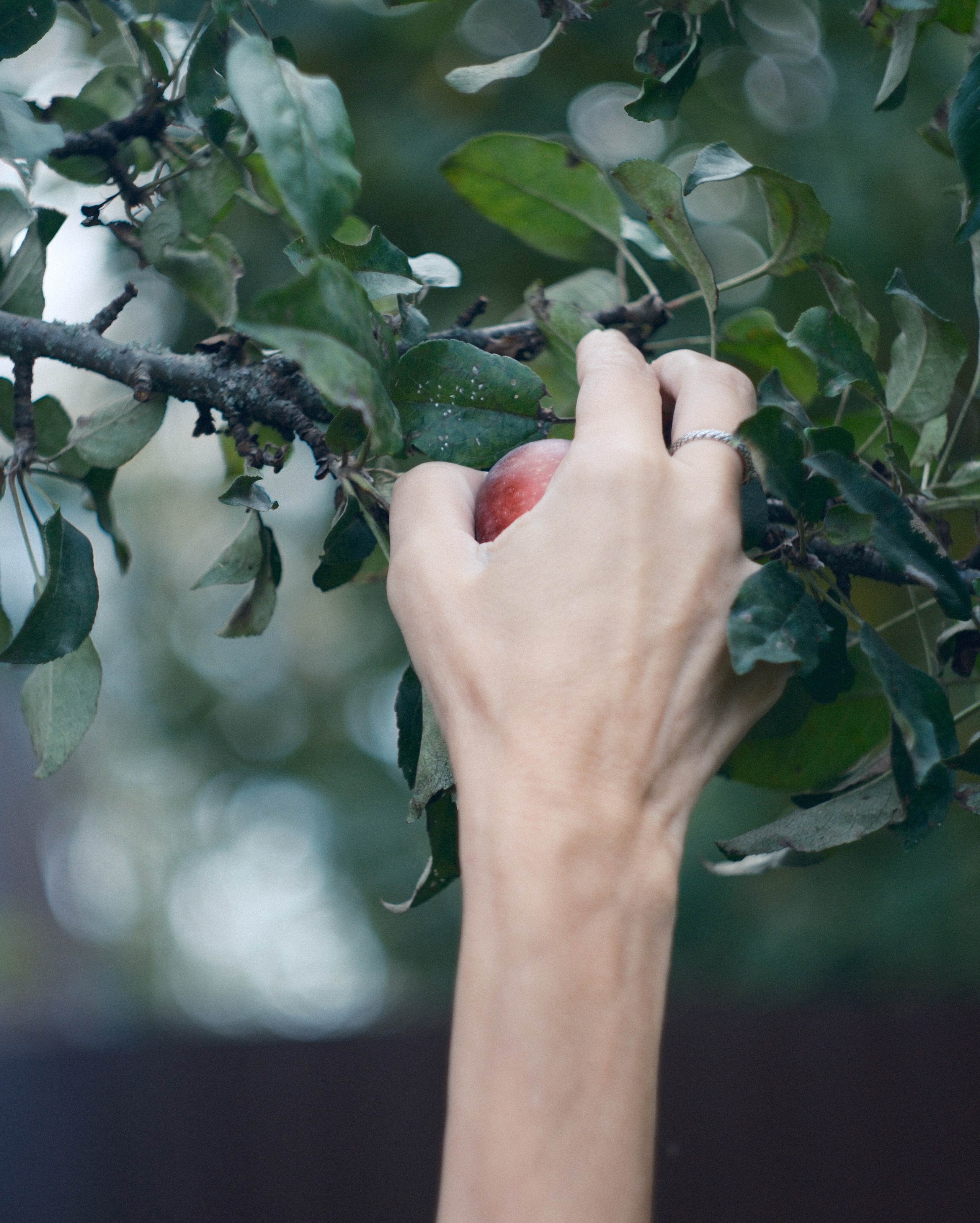 Что было, то и будет. Фотограф и визуальная художница Софья Бондарь