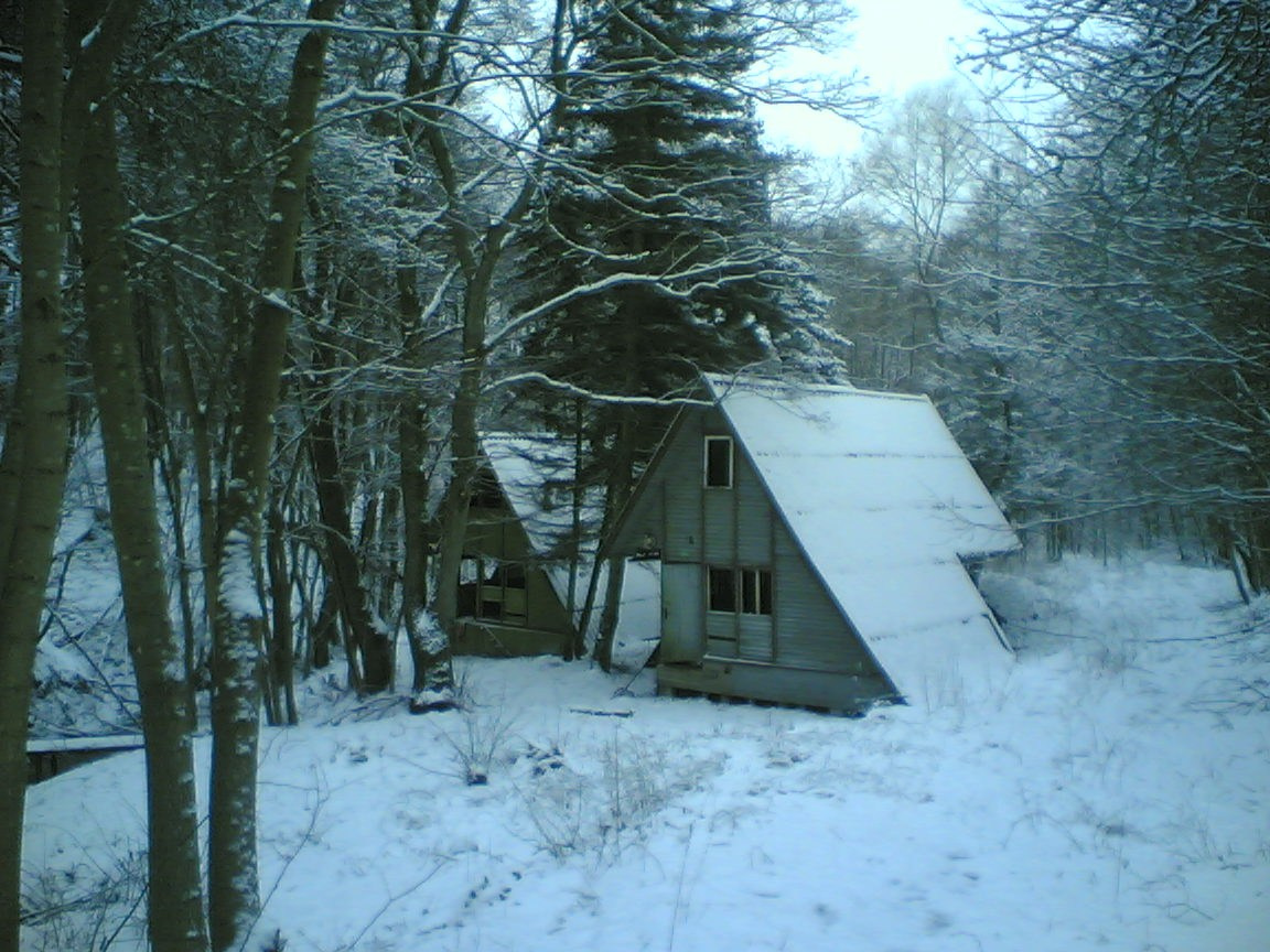 Дневник. Михаил Барановский