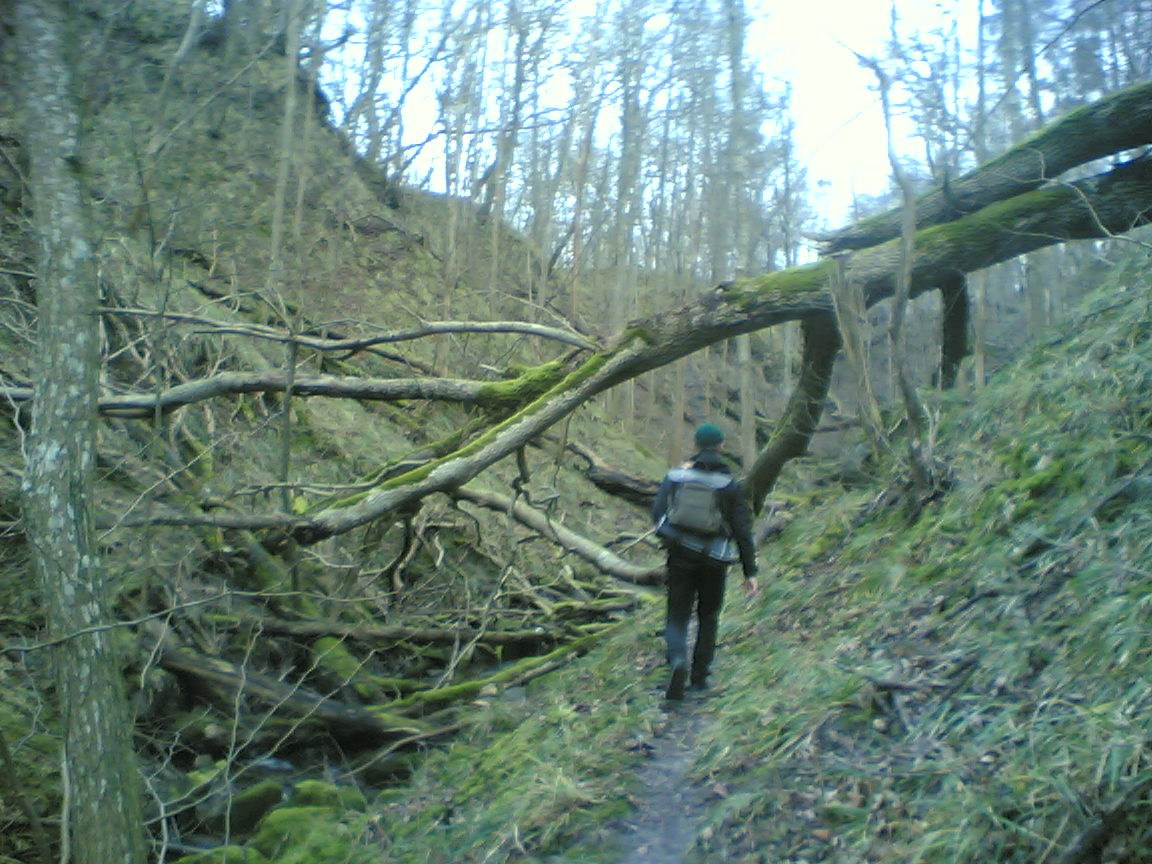 Линии. Михаил Барановский