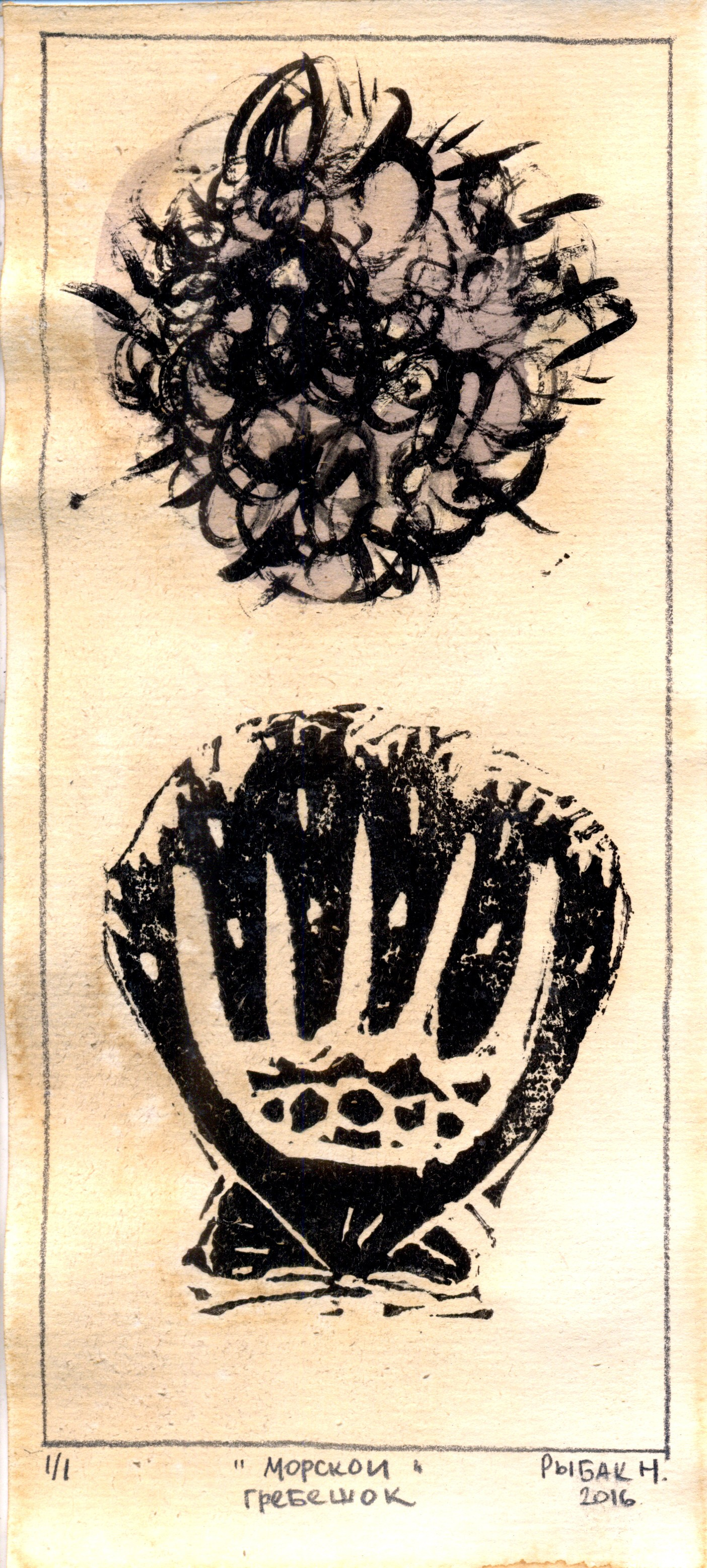 Серия Морские беспозвоночные. Художник Рыбак Николай