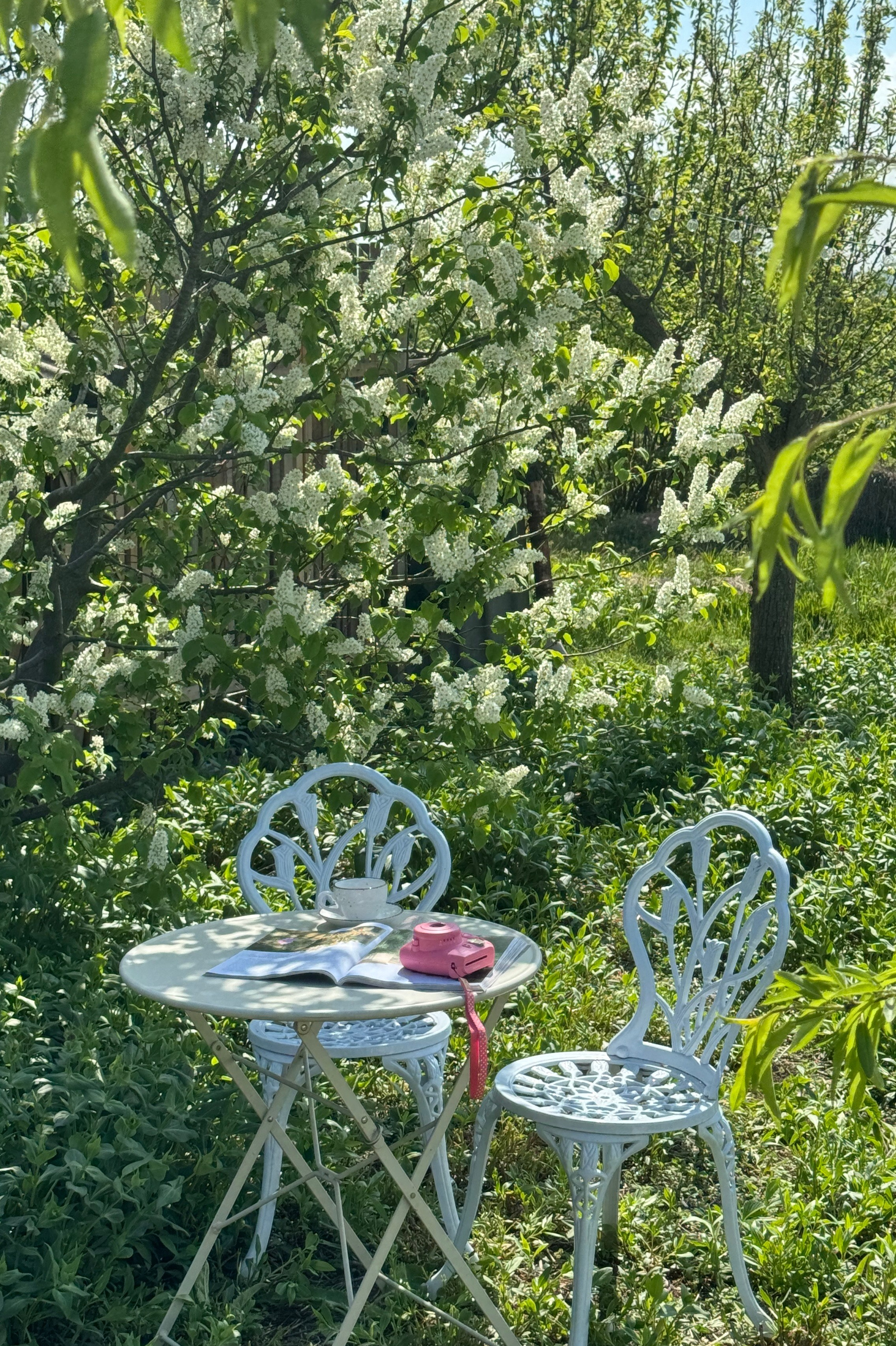 Фотостудия Натальи Забродской