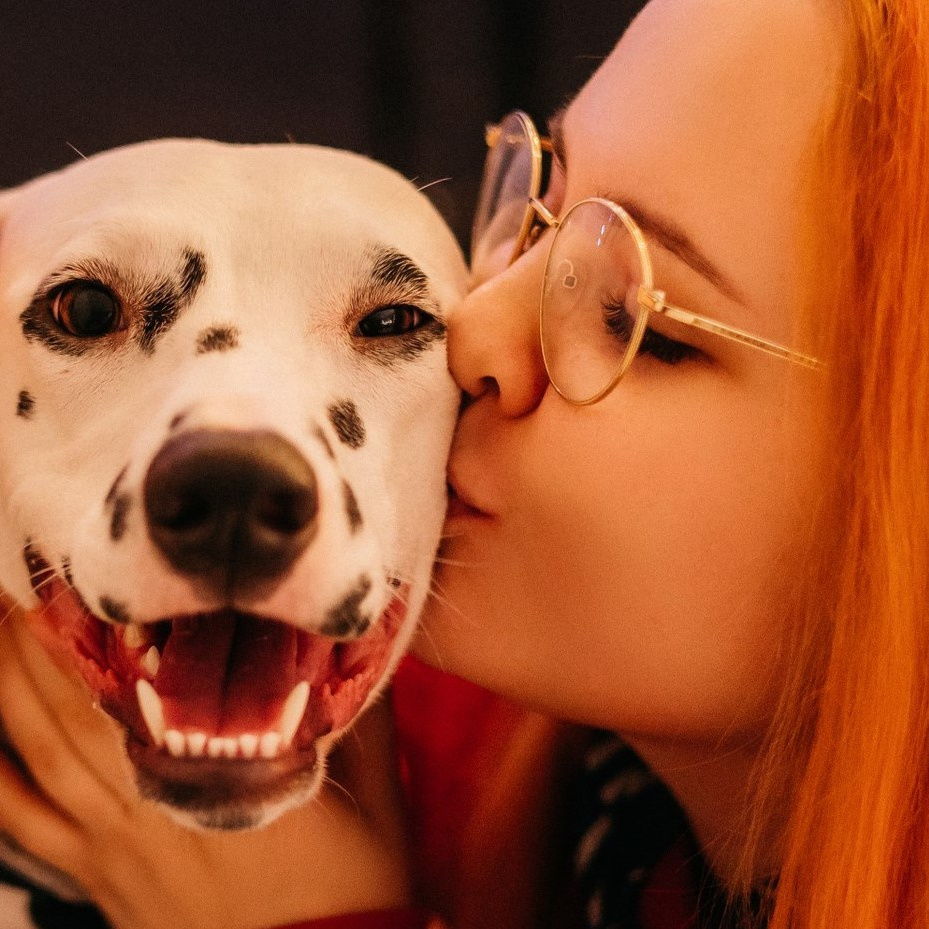 Контакты фотограф-анималист Анастасия Белаш. Анастасия Белаш