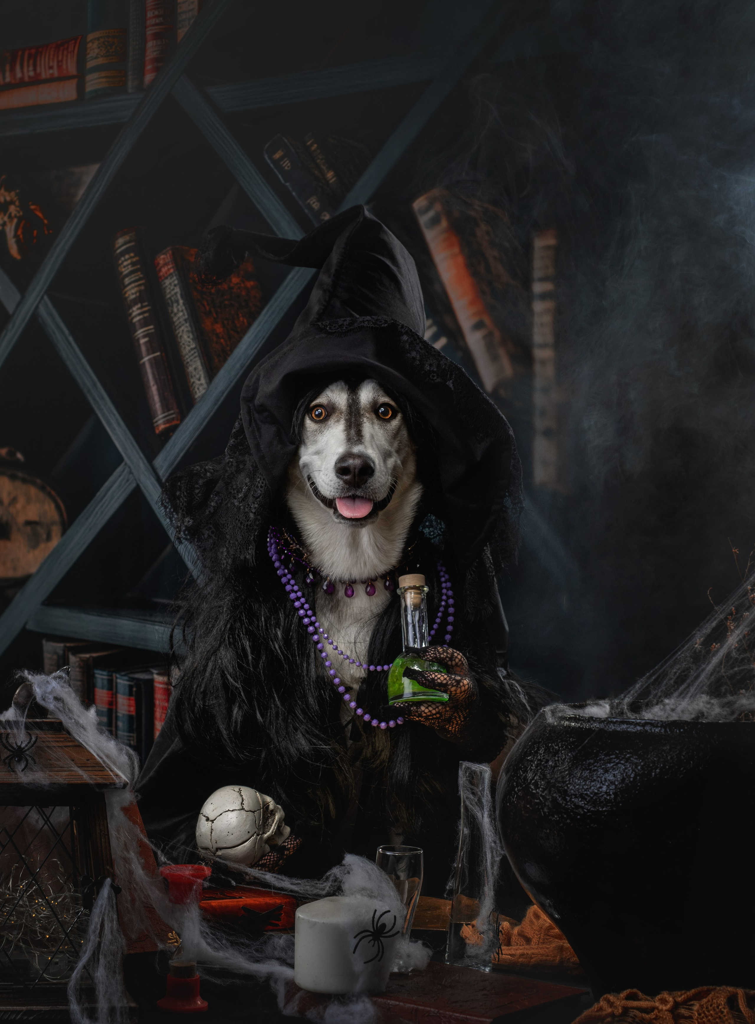 Мои достижения. Фотограф-анималист Юлия Зубкова