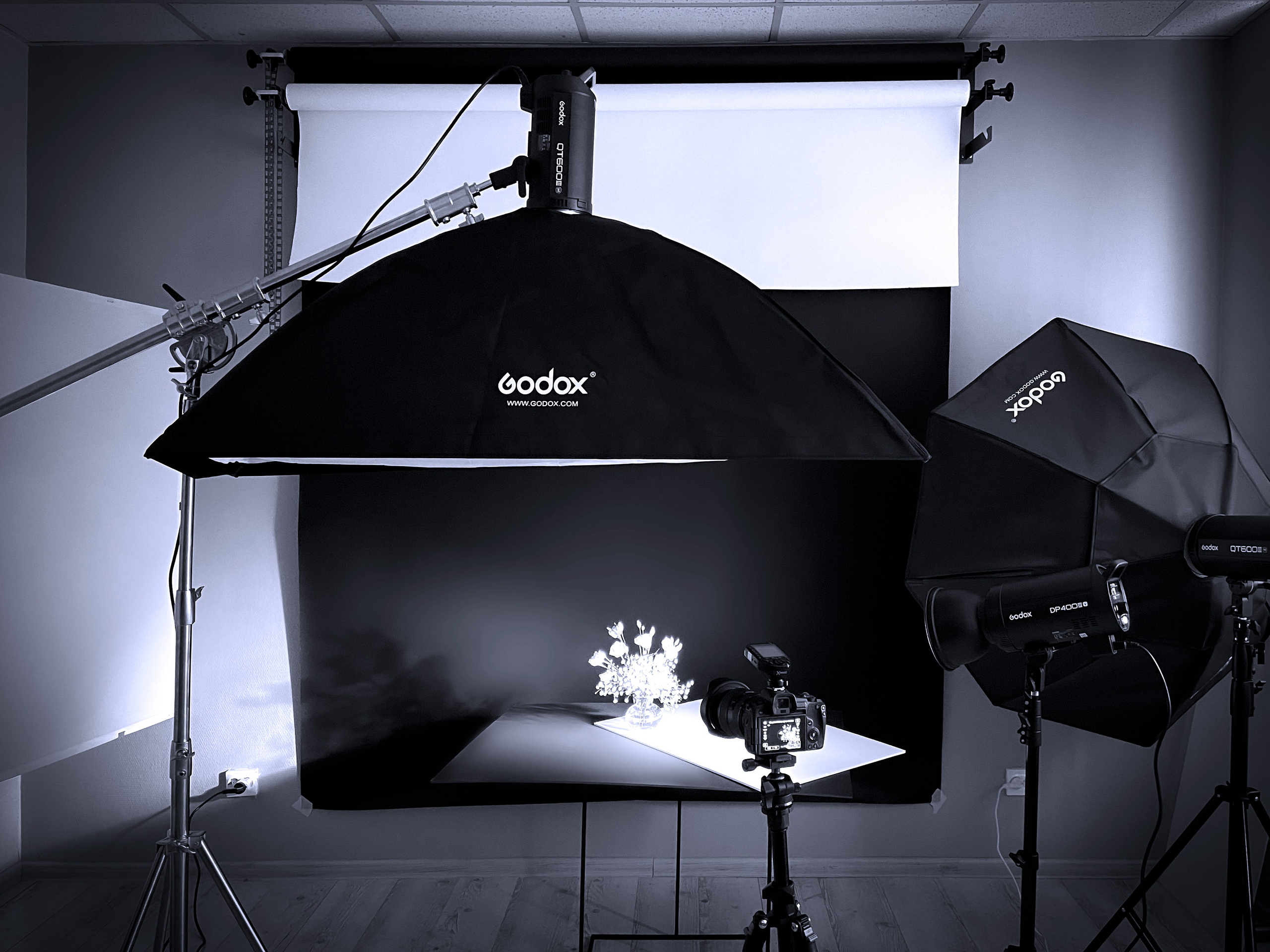 Открытие фотостудии. Фотограф Светлана Заплатина