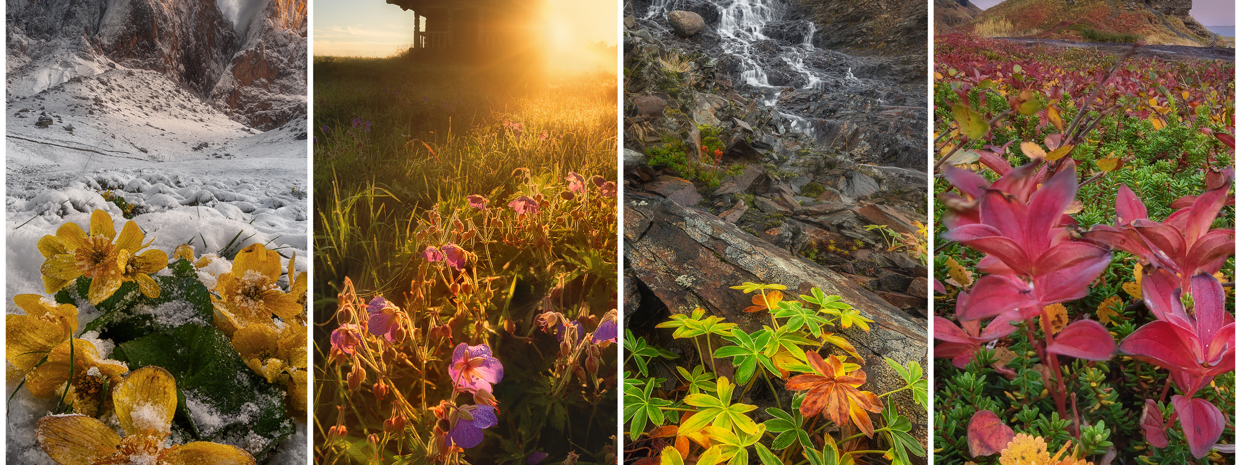 Статья. Про композицию…и не только. Фототуры и обучение пейзажной фотографии